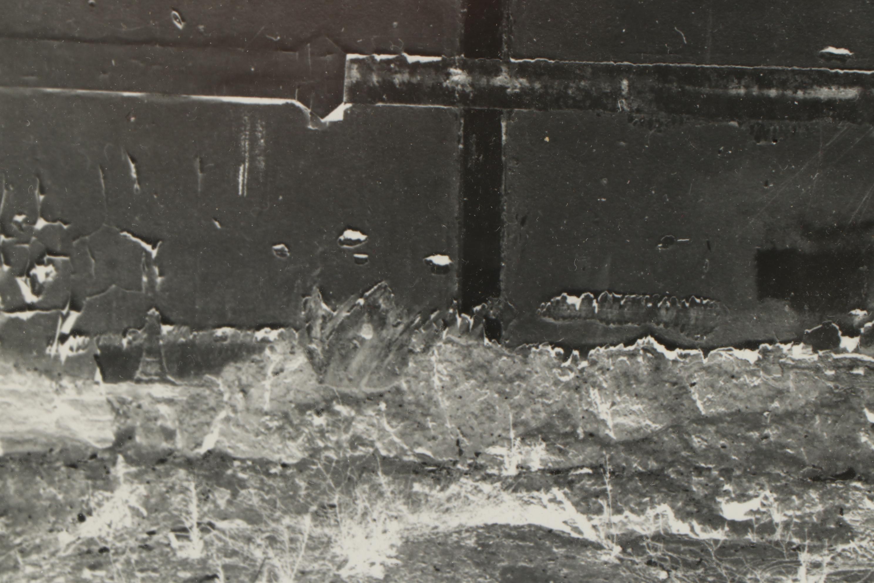 Don Jim Silver Gelatin Photograph and Photo Negative "Sassy," Late 20th Century