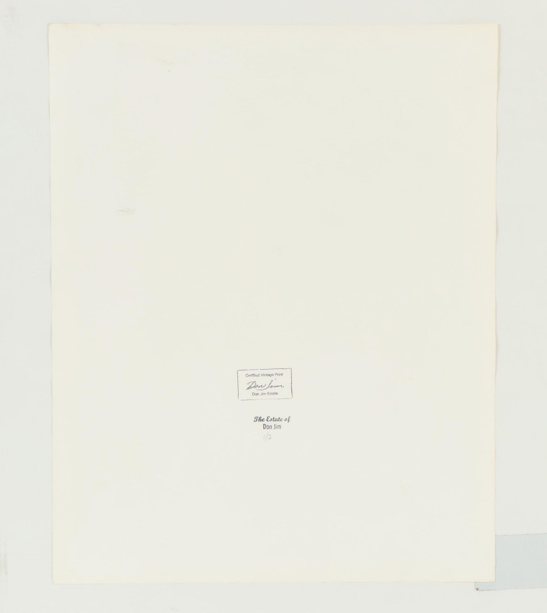 Don Jim Solarized Silver Gelatin Photograph from "Lavish Lola," Circa 1985