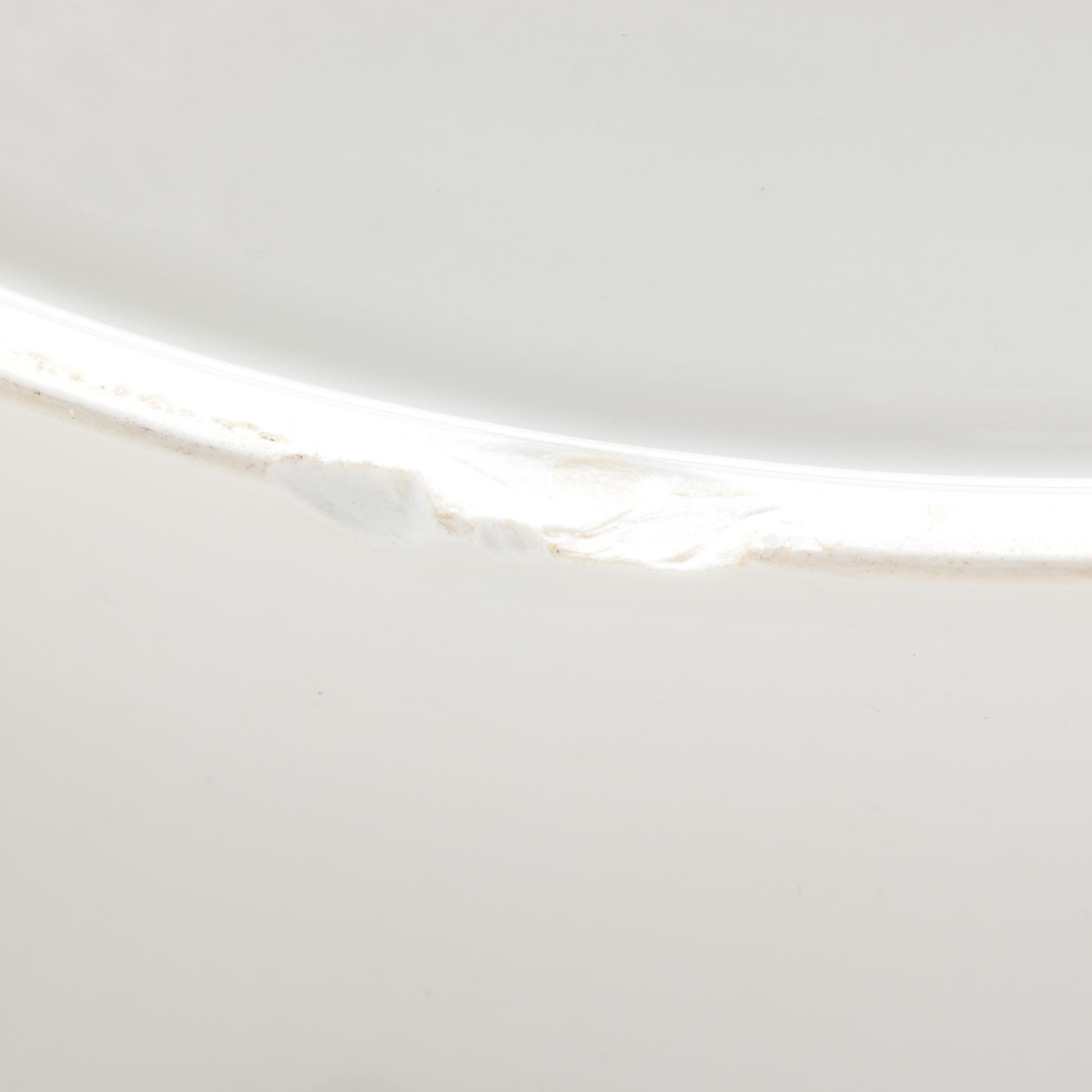 Haviland & Co. for Rice & Burnett of Cleveland Porcelain Serving Platter