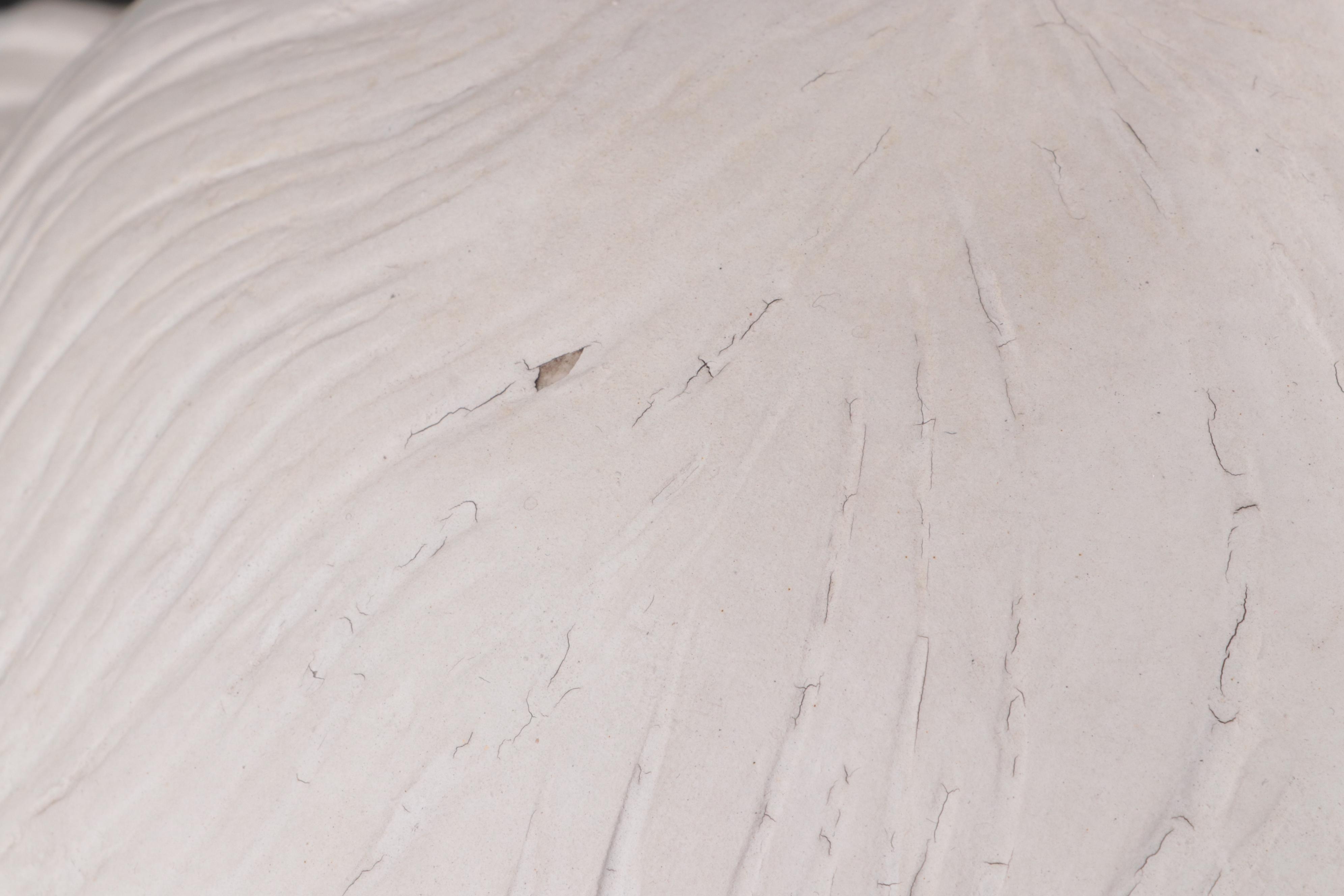 Plaster Bust of Plato After Bronze from the Villa dei Papyri, Herculaneum