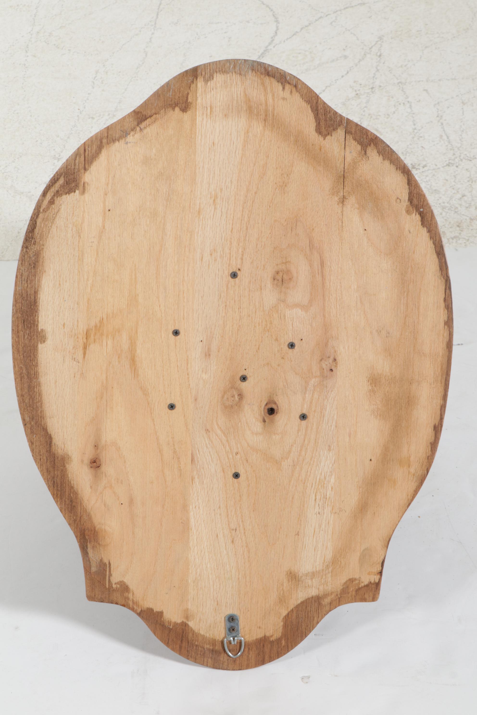 Taxidermy Wild Boar Shoulder Mount