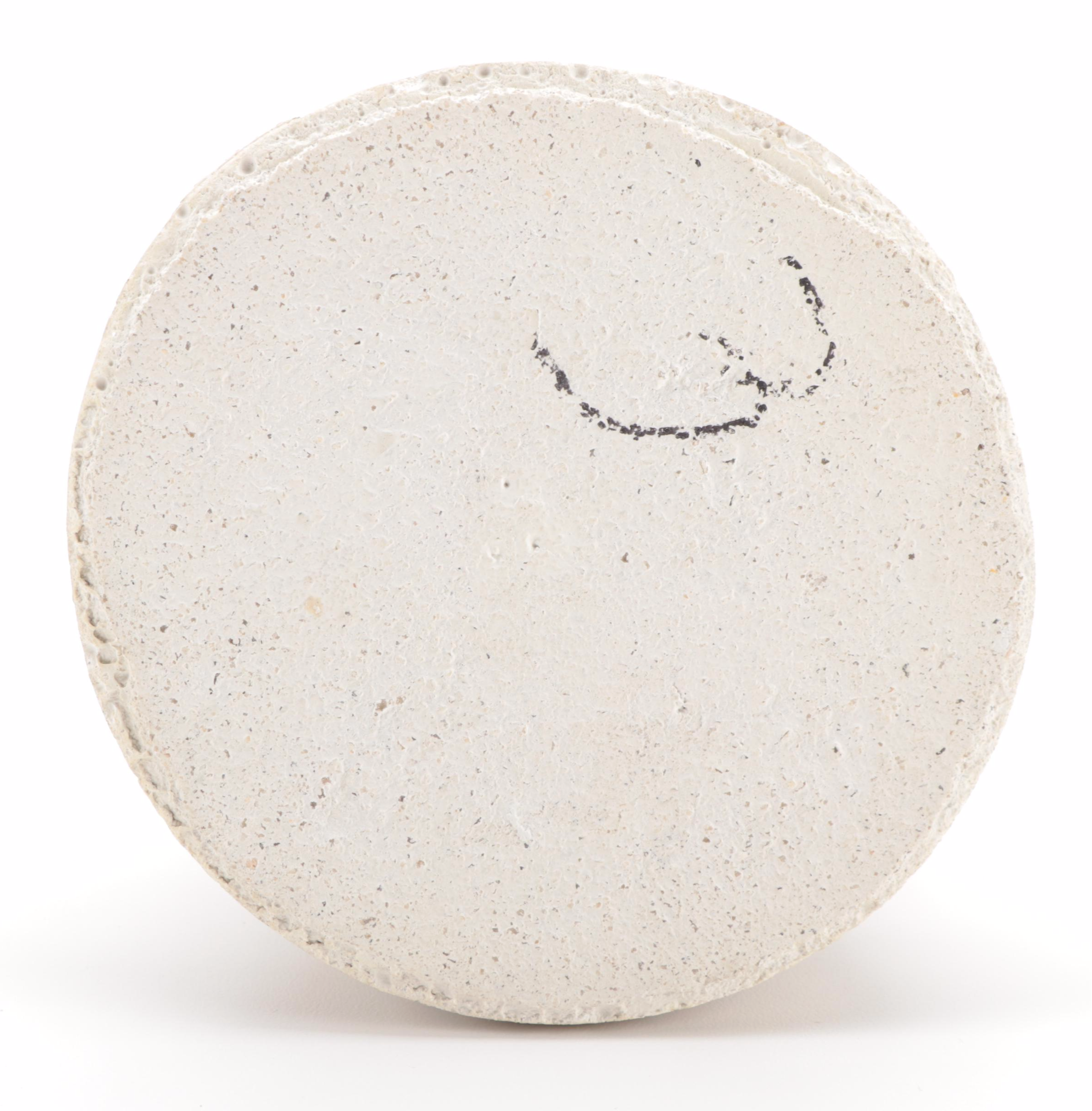 White Swan and Disney's "Piglet" Holding Flower Outdoor Decoration