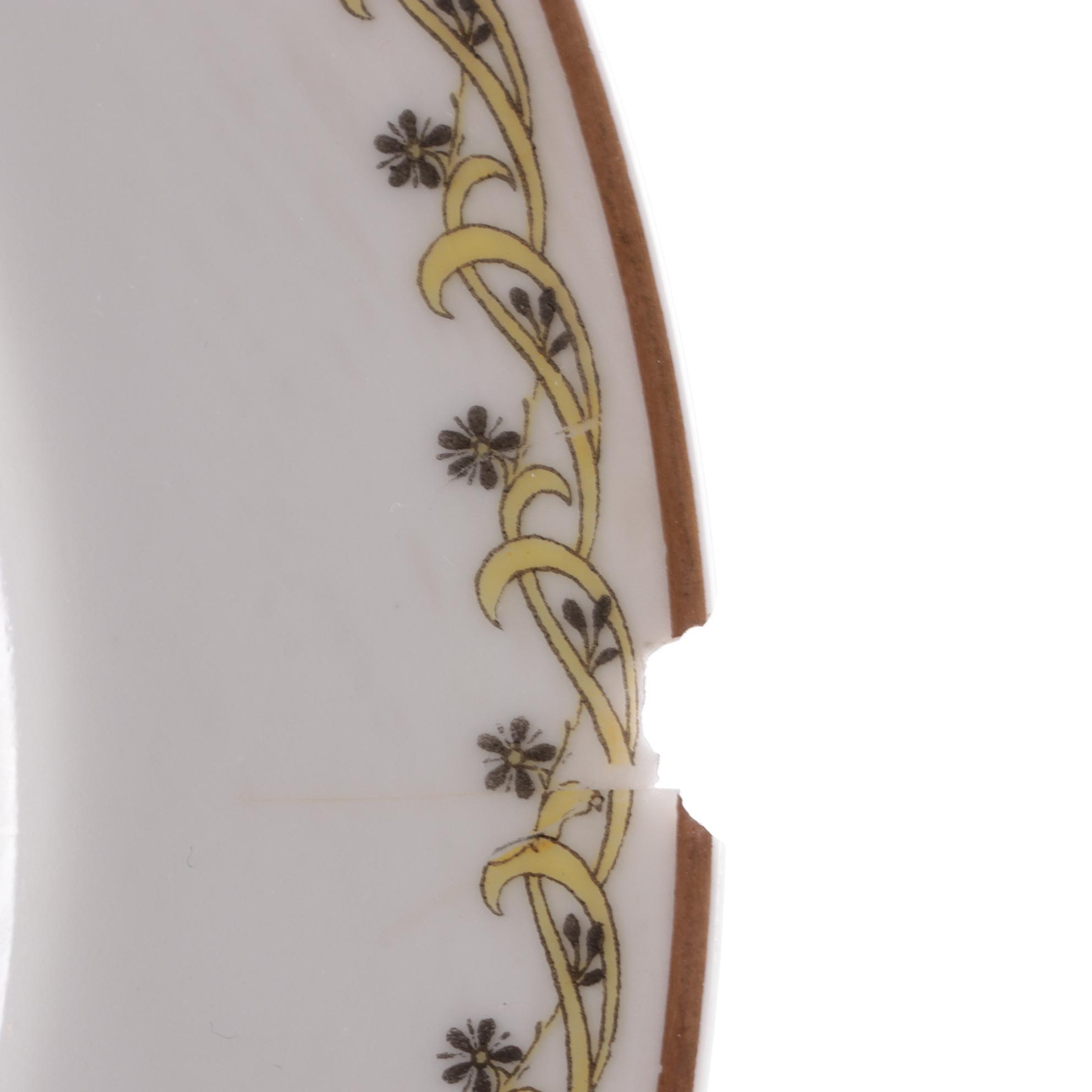 Haviland "Schleiger 101" Limoges Porcelain Dinnerware