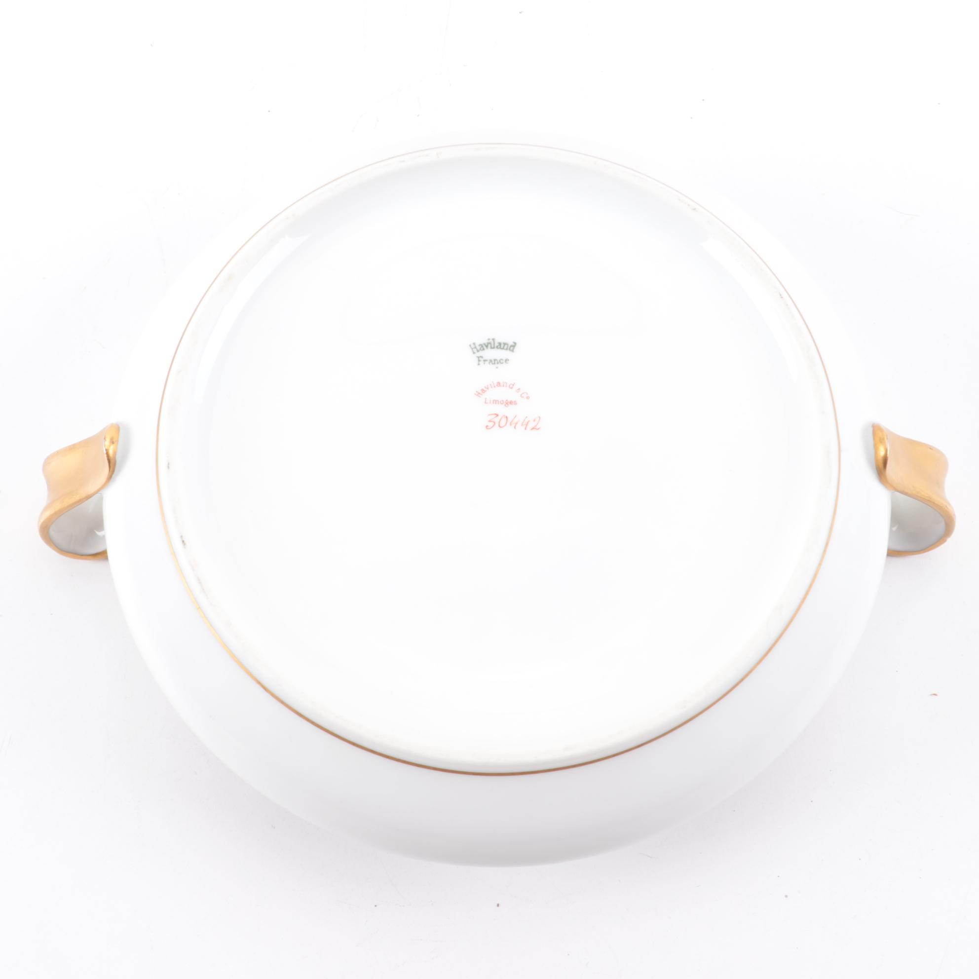 Haviland "Schleiger 101" Limoges Porcelain Dinnerware