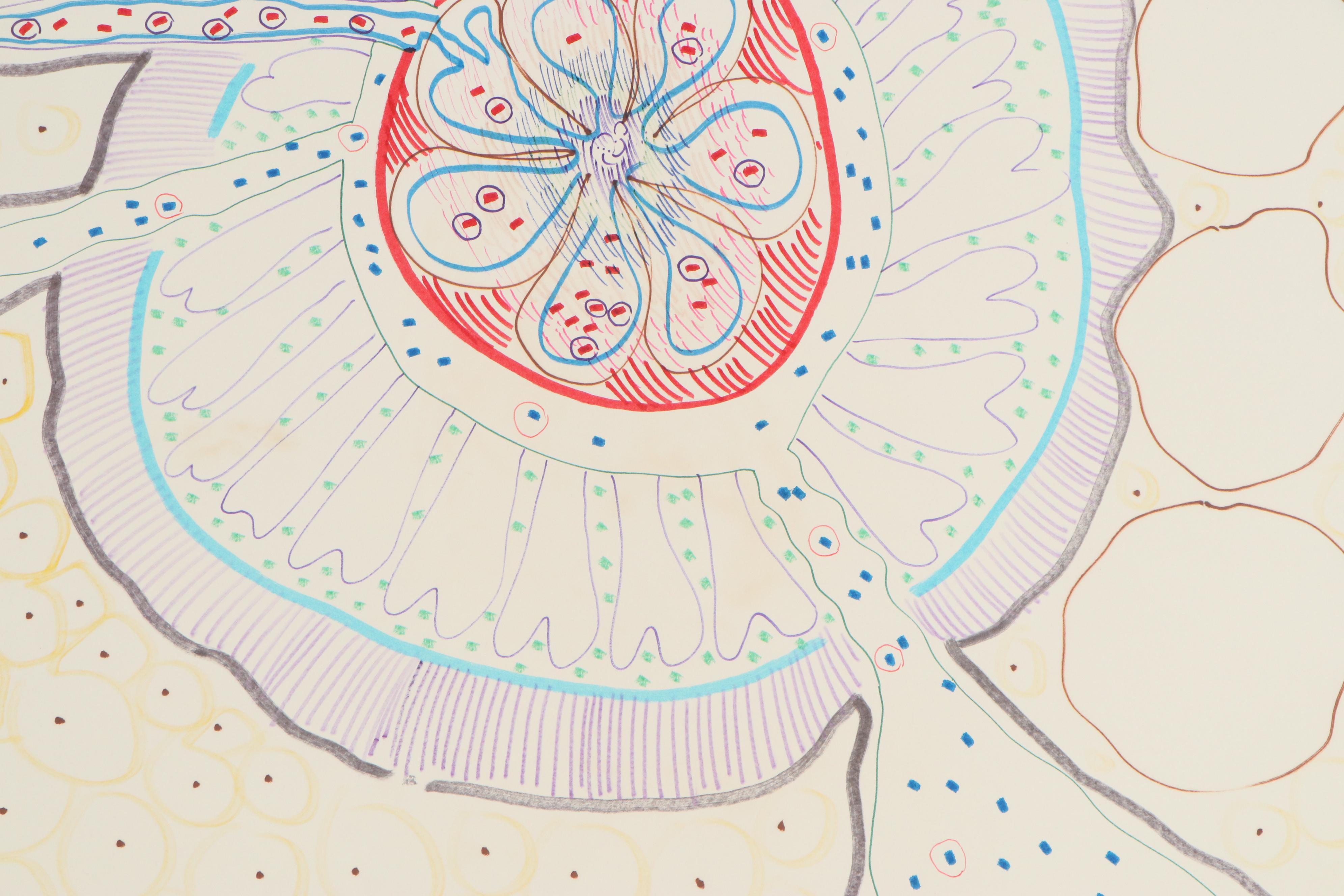 Philip the Transplant Ink Drawings "Birth of a Petunia" and "Comedy & Tragedy"