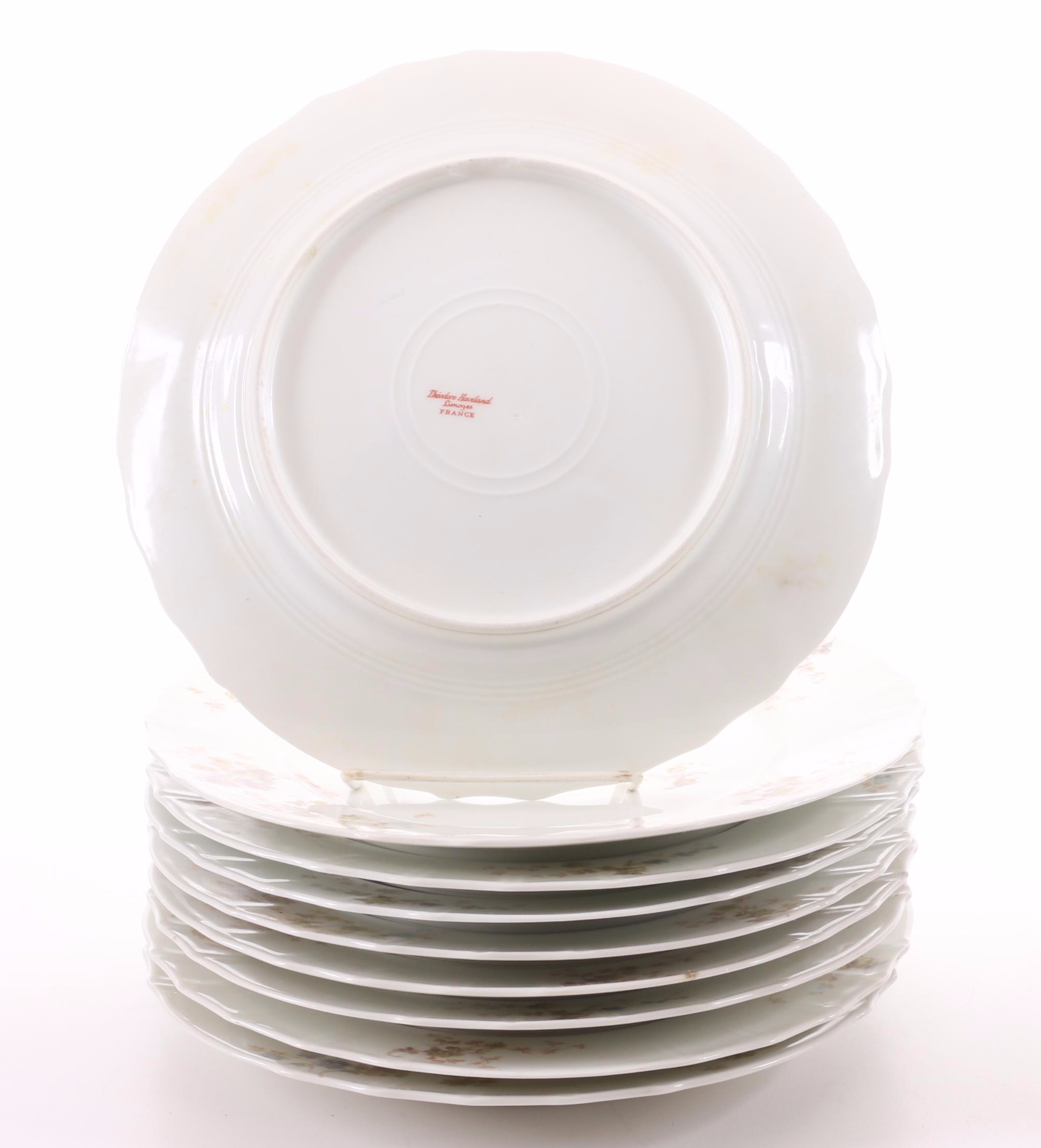 Theodore Haviland Porcelain Limoges Dinnerware, Late 19th / Early 20th Century