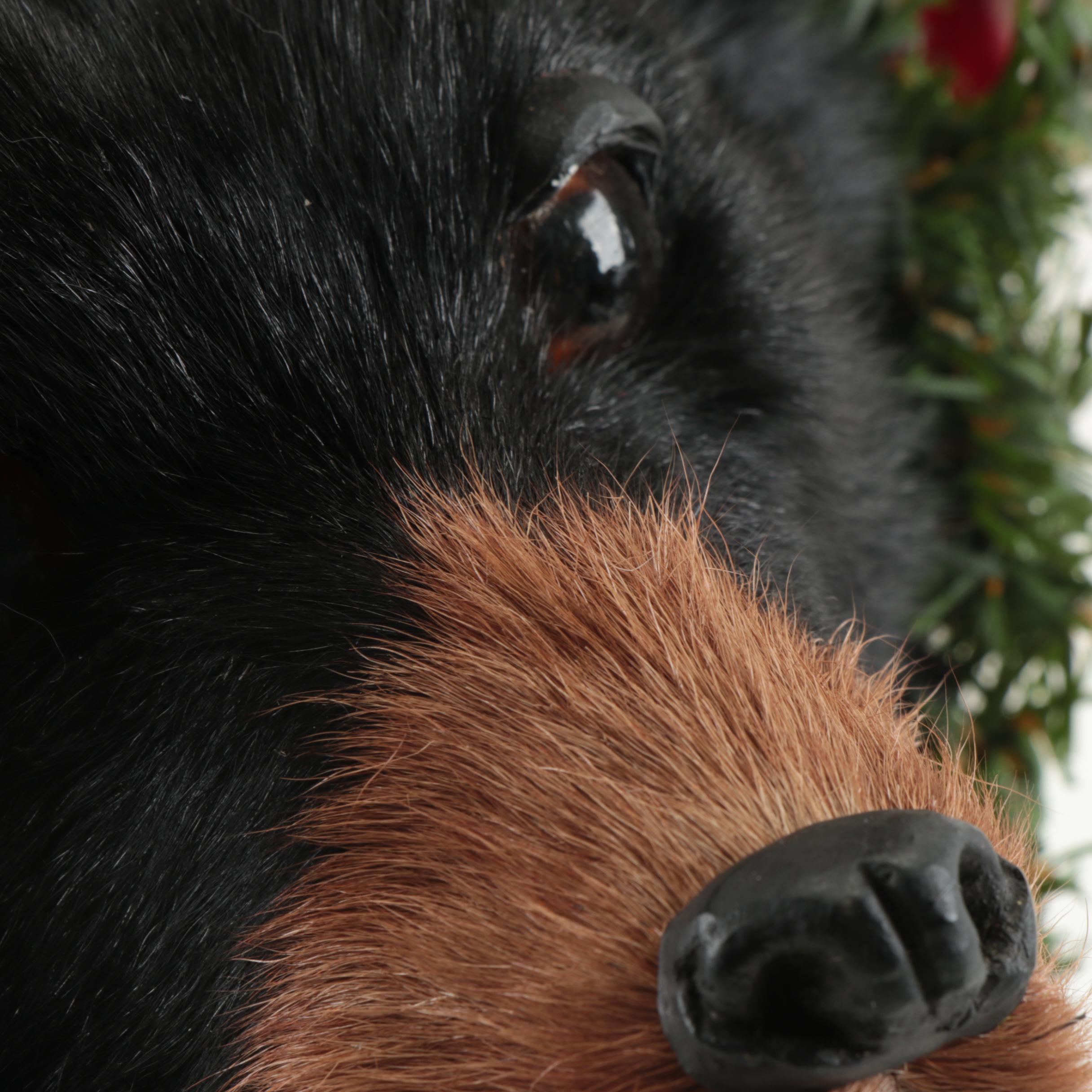 Lynn Haney Collection "Christmas Express" Santa and Bear Figurine, 1999