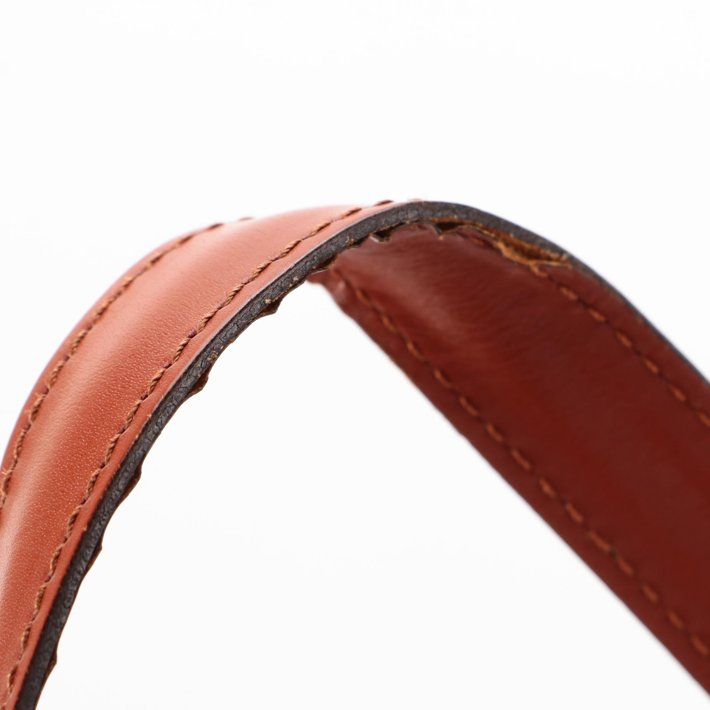 Louis Vuitton Saint Jacques PM Bag in Kenyan Fawn Epi and Smooth Leather