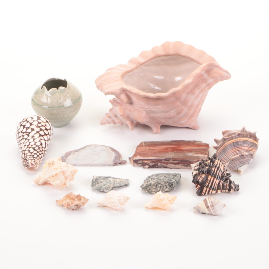 Conchs, Shells, Pottery Conch Bowl, Petrified Wood, and Studio Pottery Bowl