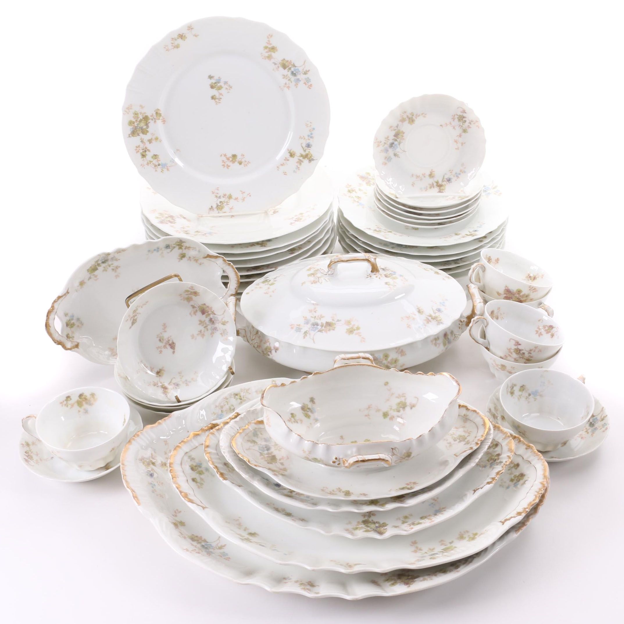 Theodore Haviland Porcelain Limoges Dinnerware, Late 19th / Early 20th Century