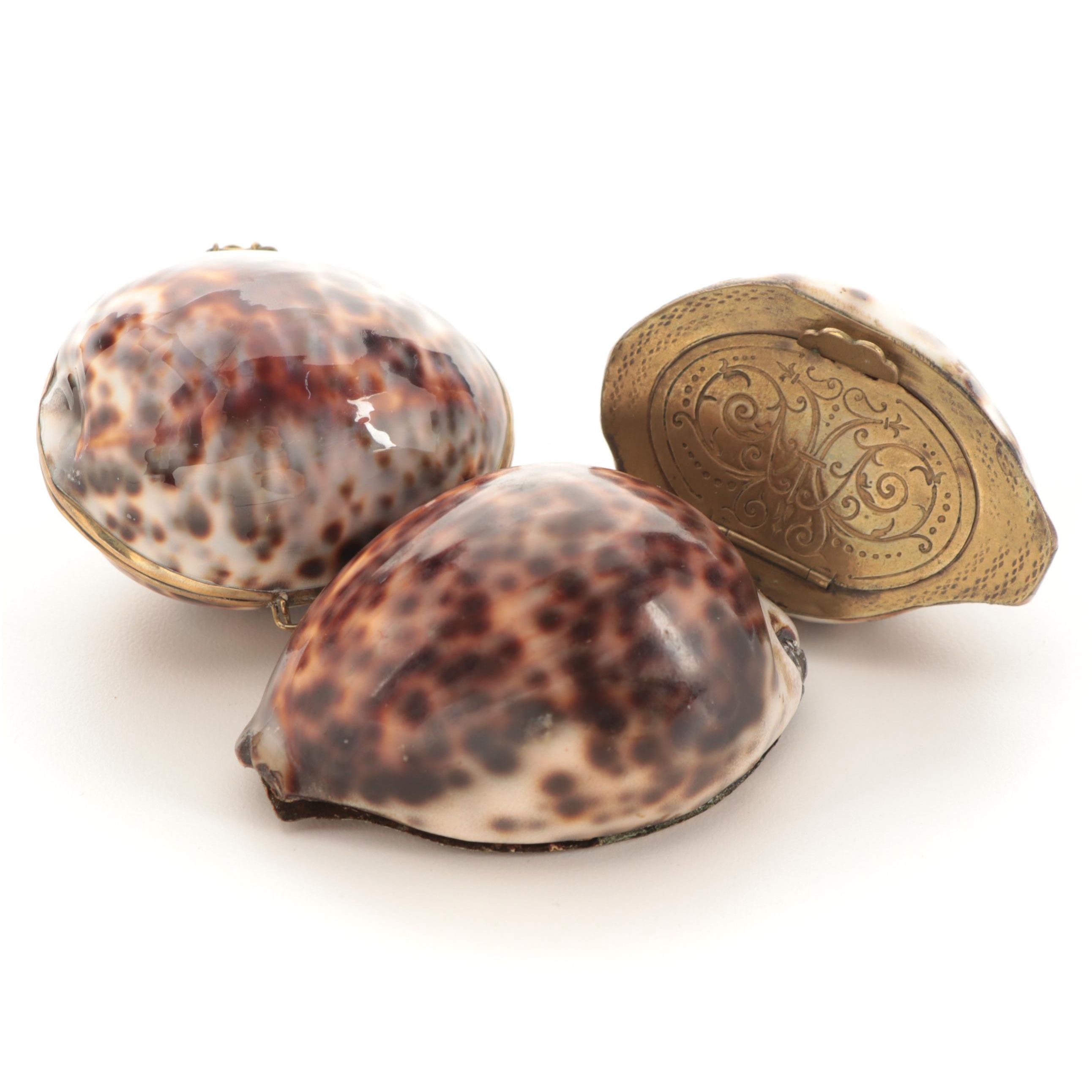 Tiger Cowrie Shell and Brass Hinged Boxes