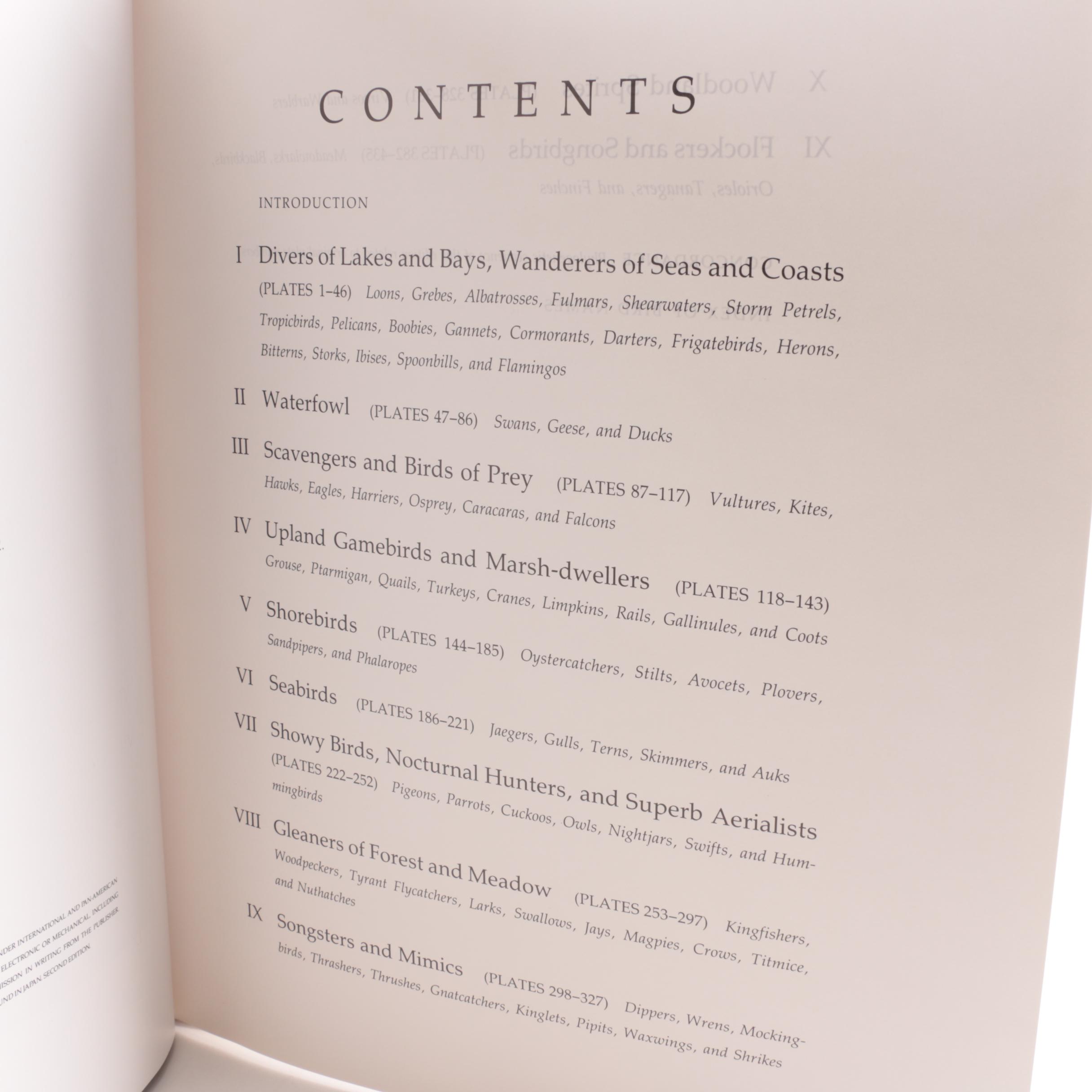 Illustrated "Audubon's Birds of America" Baby Elephant Folio by the Petersons