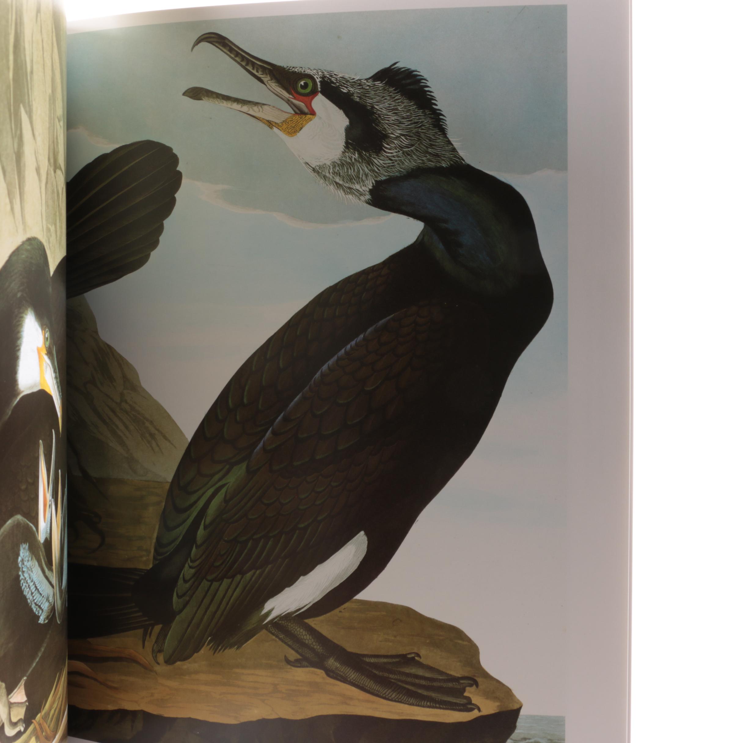 Illustrated "Audubon's Birds of America" Baby Elephant Folio by the Petersons