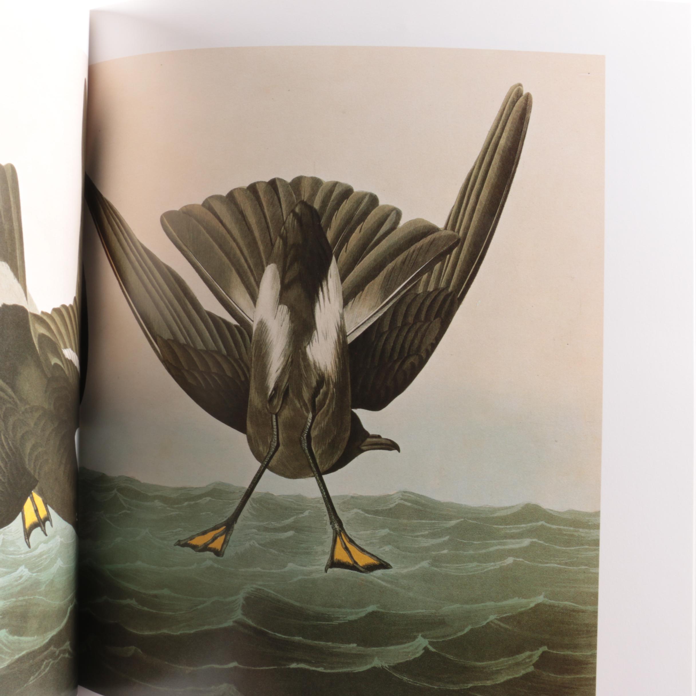 Illustrated "Audubon's Birds of America" Baby Elephant Folio by the Petersons