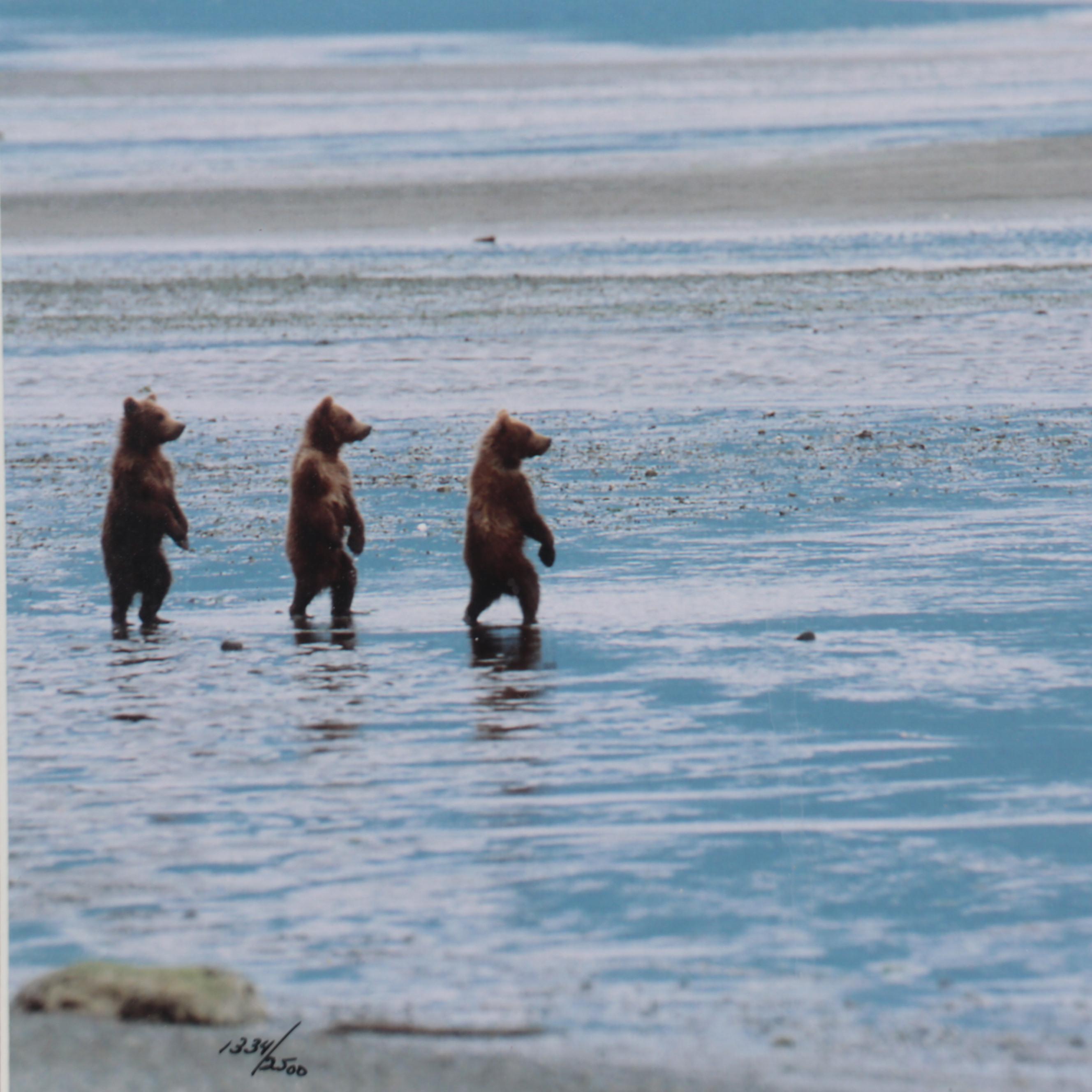 Thomas D. Mangelsen Wildlife Giclées of Bear and Moose