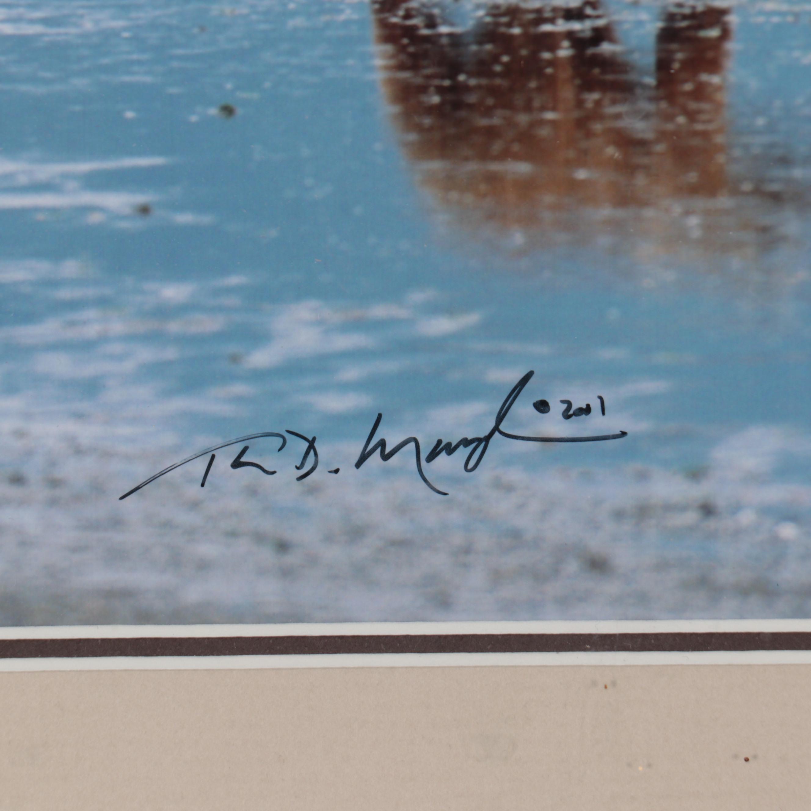 Thomas D. Mangelsen Wildlife Giclées of Bear and Moose