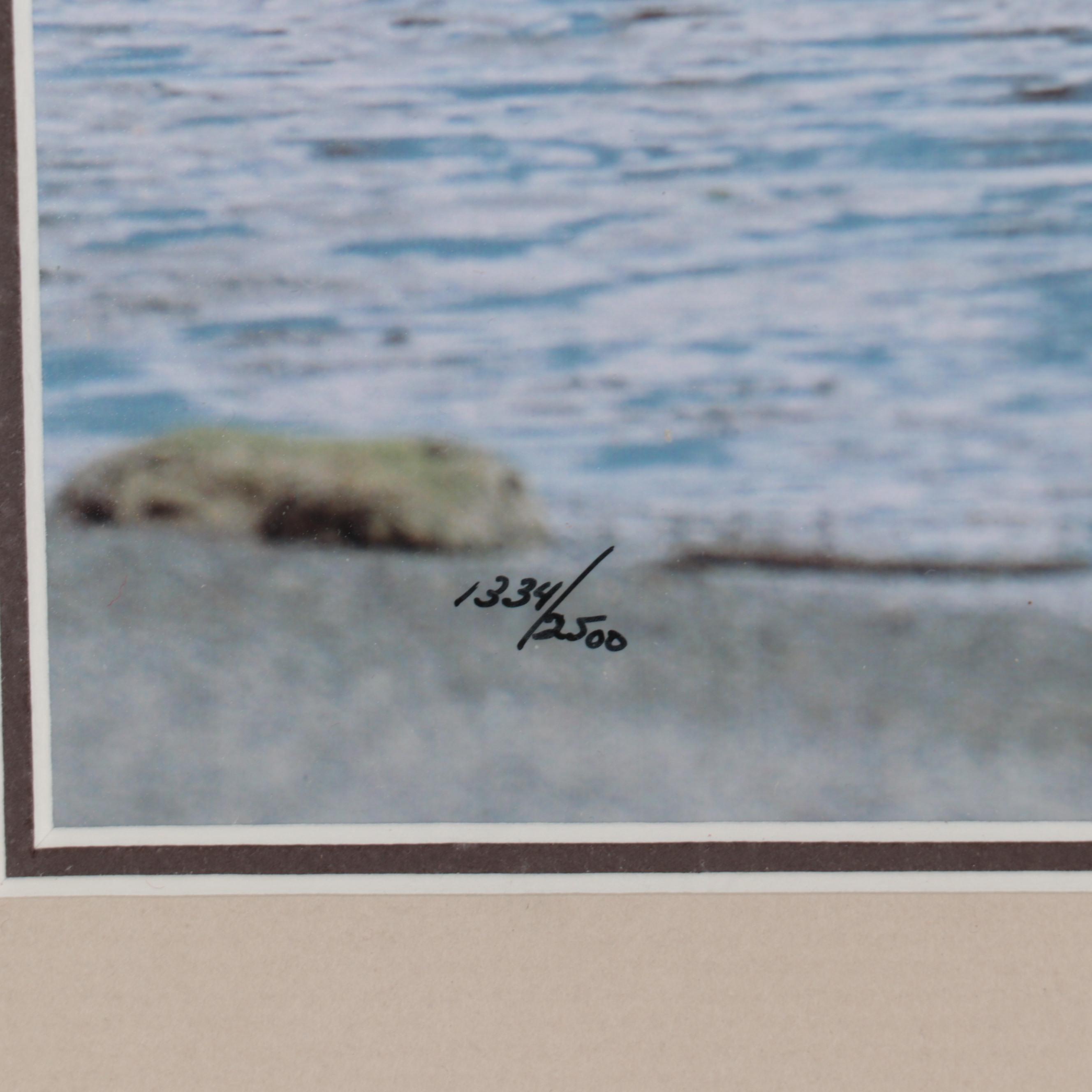 Thomas D. Mangelsen Wildlife Giclées of Bear and Moose