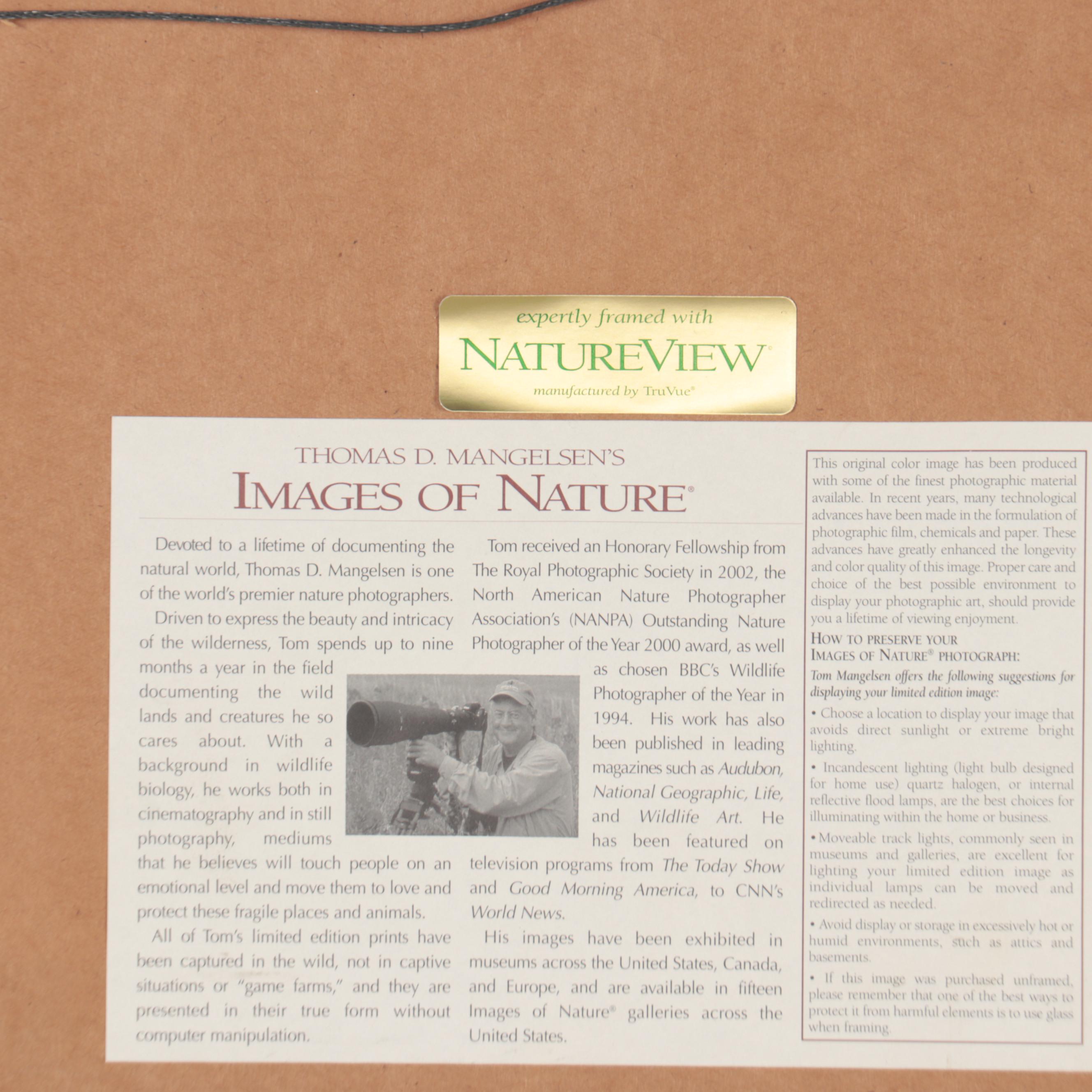 Thomas D. Mangelsen Wildlife Giclées of Bear and Moose