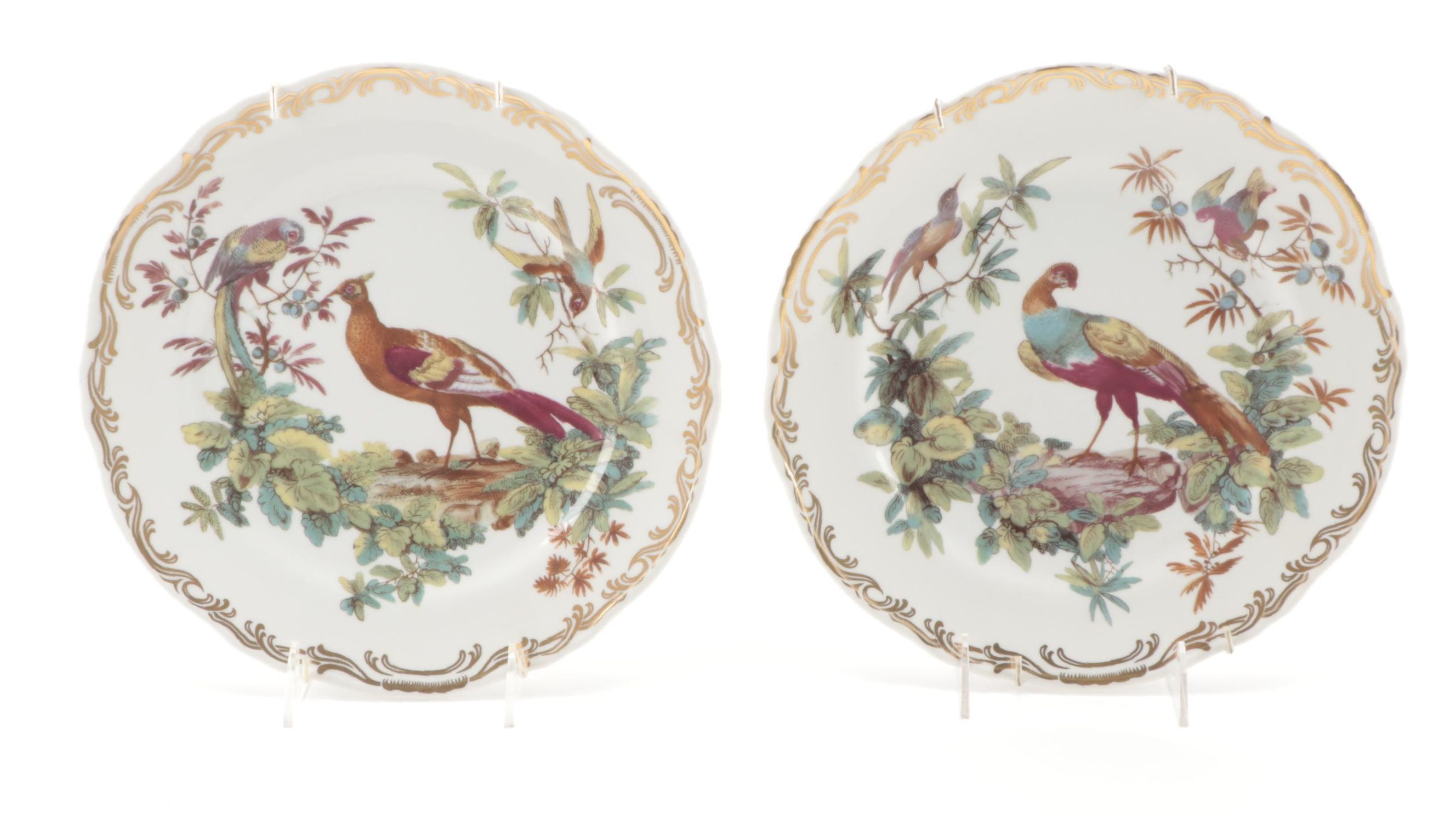 Andrea by Sadek "Exotic Birds" Porcelain Dinner Plates