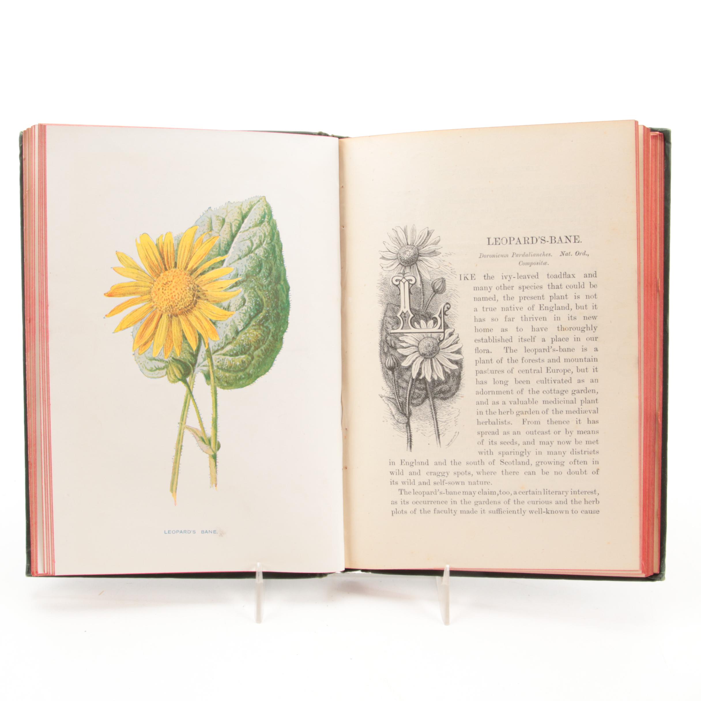 Illustrated "Familiar Wild Flowers" Six-Volume Set by F. Edward Hulme