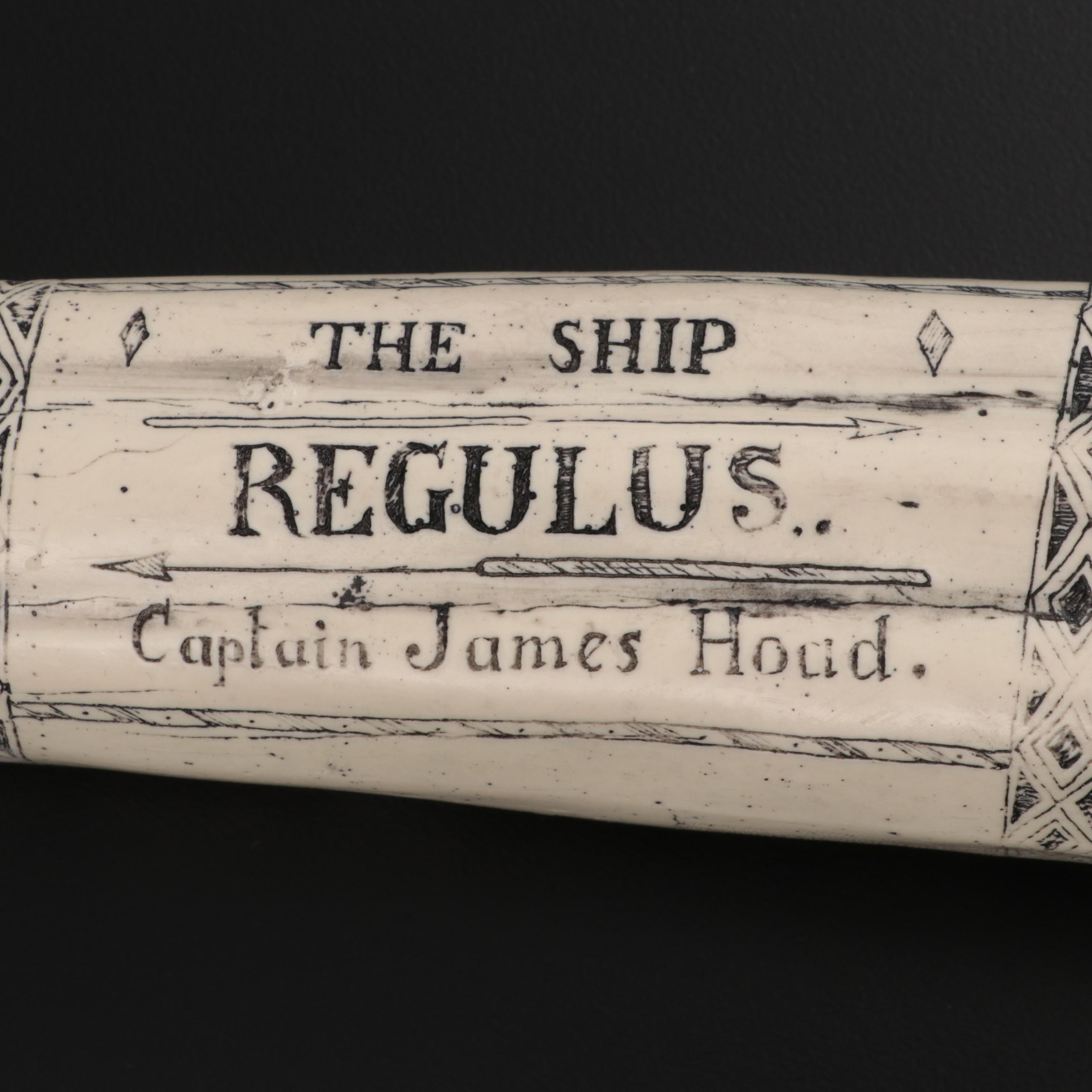 Faux Scrimshaw "The Ship Regulus Captain James Hoad" Resin Walrus Tusk