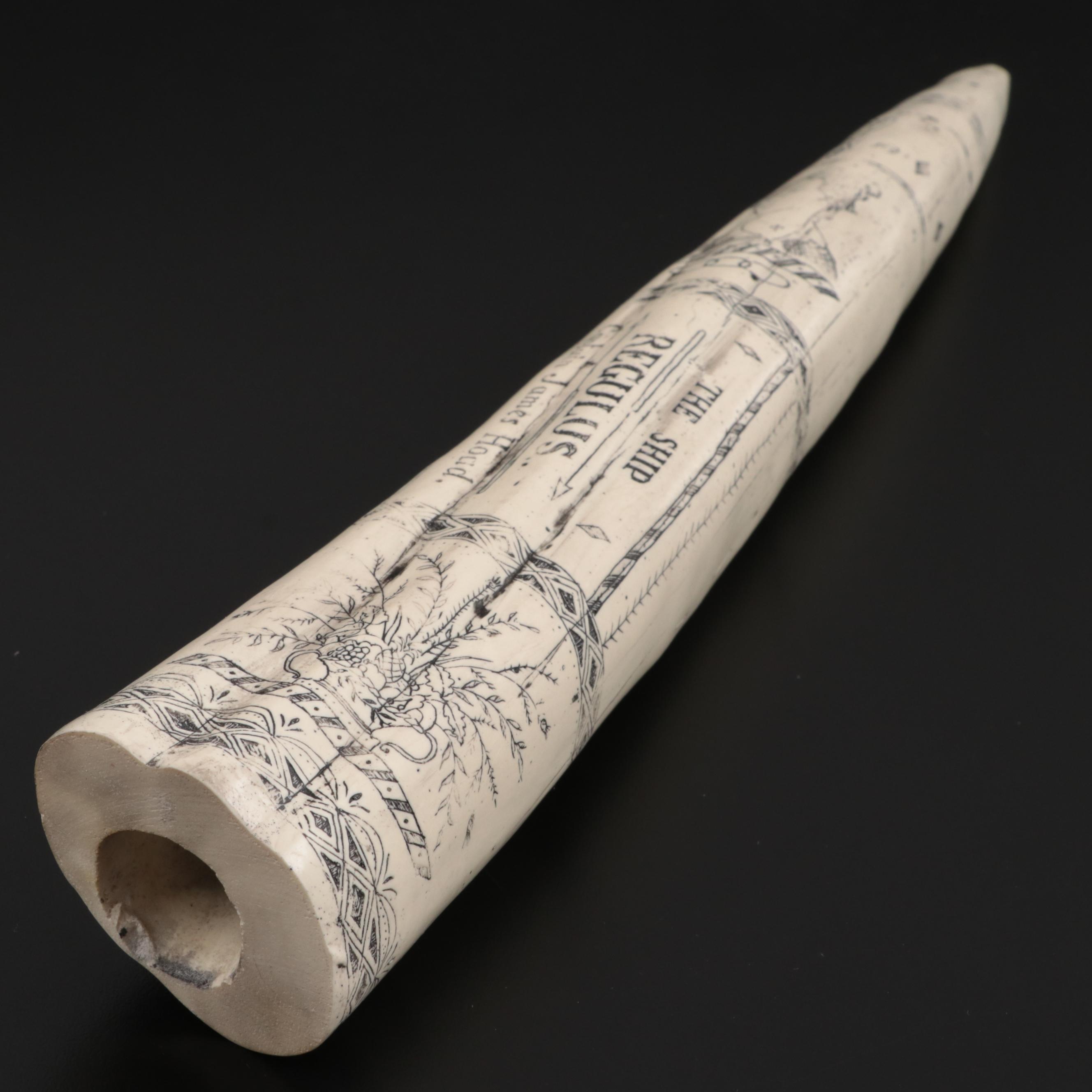 Faux Scrimshaw "The Ship Regulus Captain James Hoad" Resin Walrus Tusk