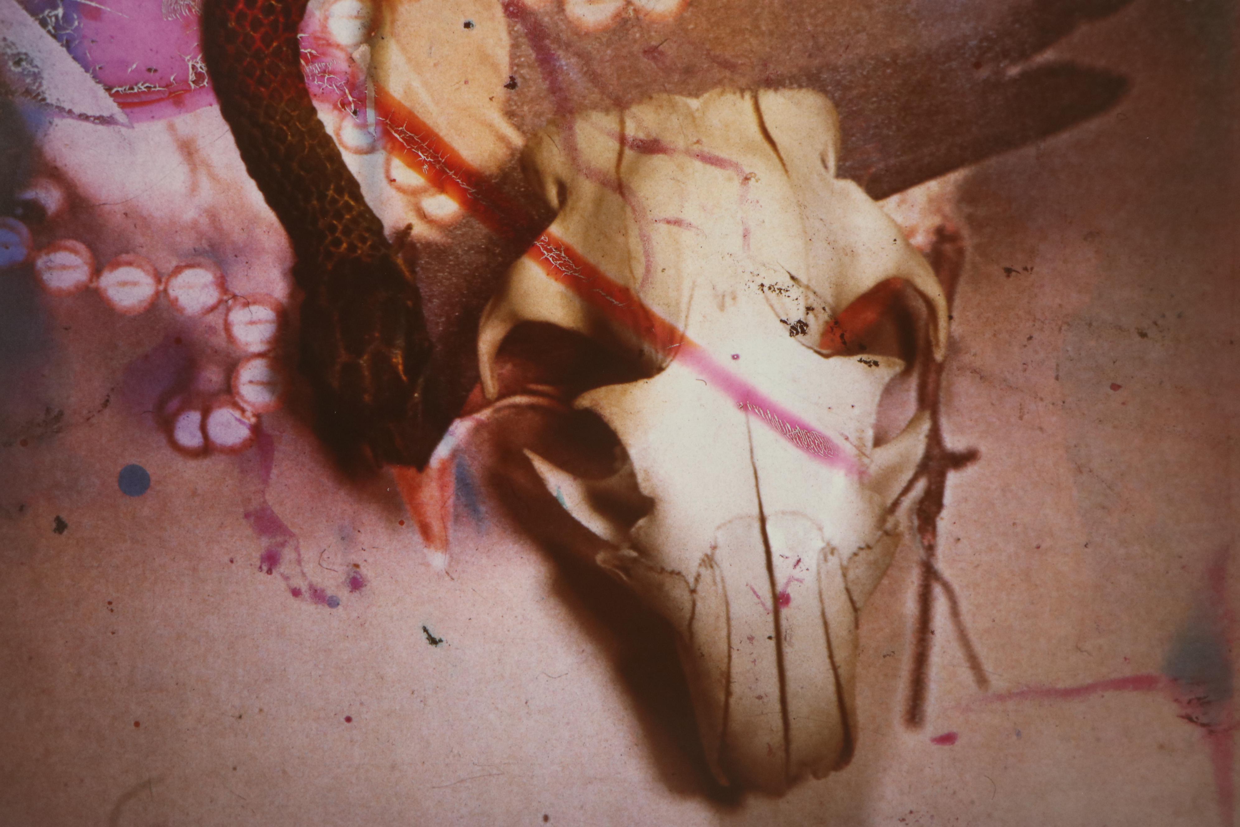 Barbara Hershey Cibachrome Photograph "The Dead and the Beatiful," Circa 1985