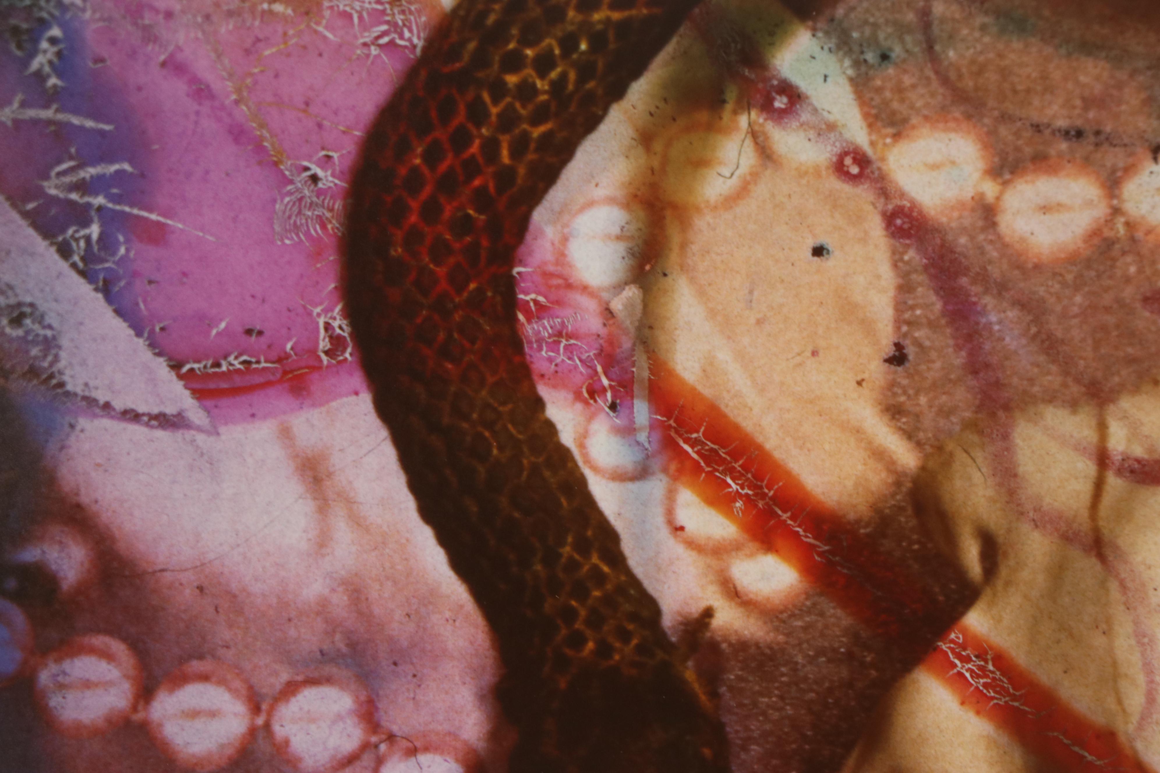 Barbara Hershey Cibachrome Photograph "The Dead and the Beatiful," Circa 1985