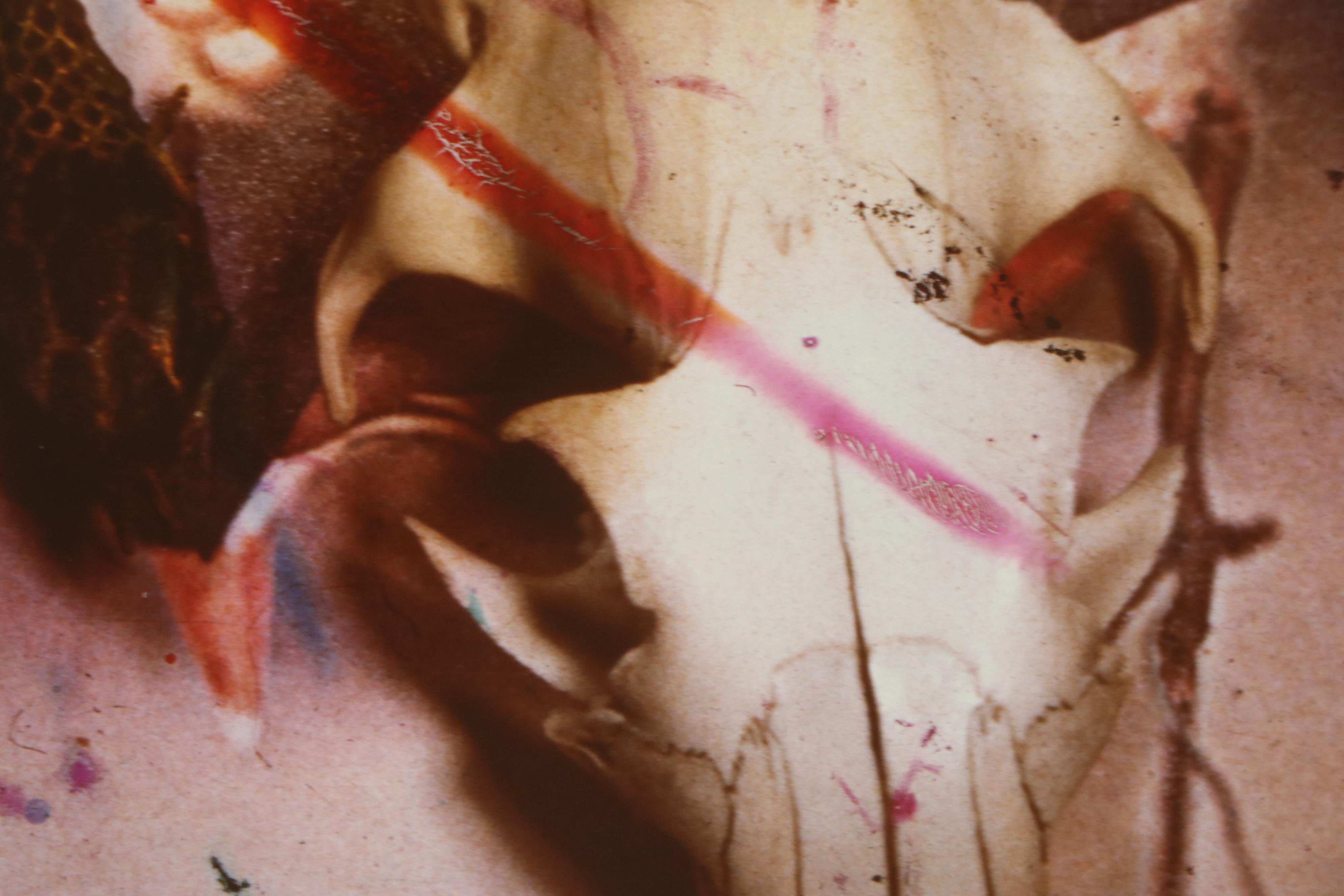 Barbara Hershey Cibachrome Photograph "The Dead and the Beatiful," Circa 1985