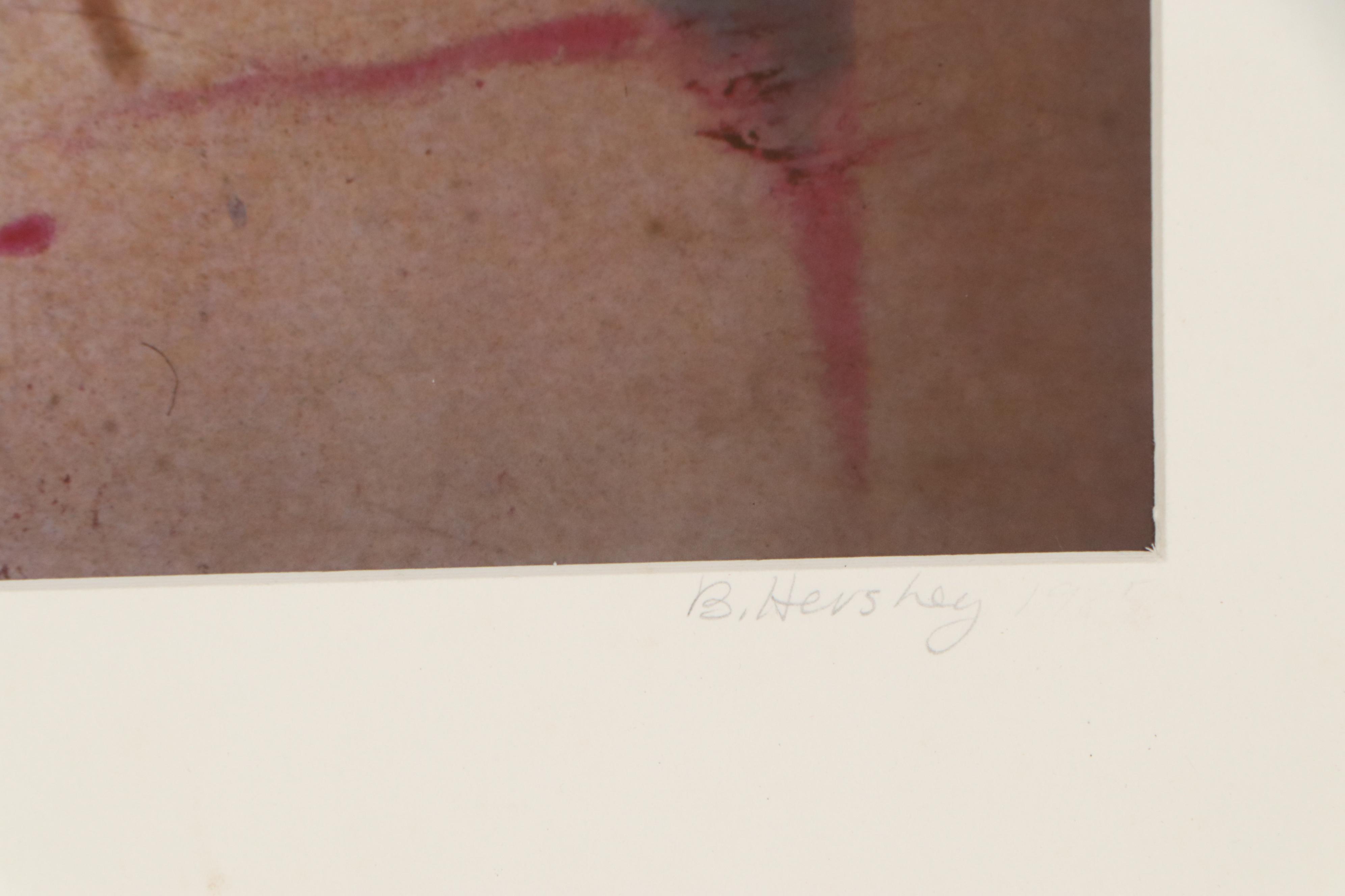 Barbara Hershey Cibachrome Photograph "The Dead and the Beatiful," Circa 1985