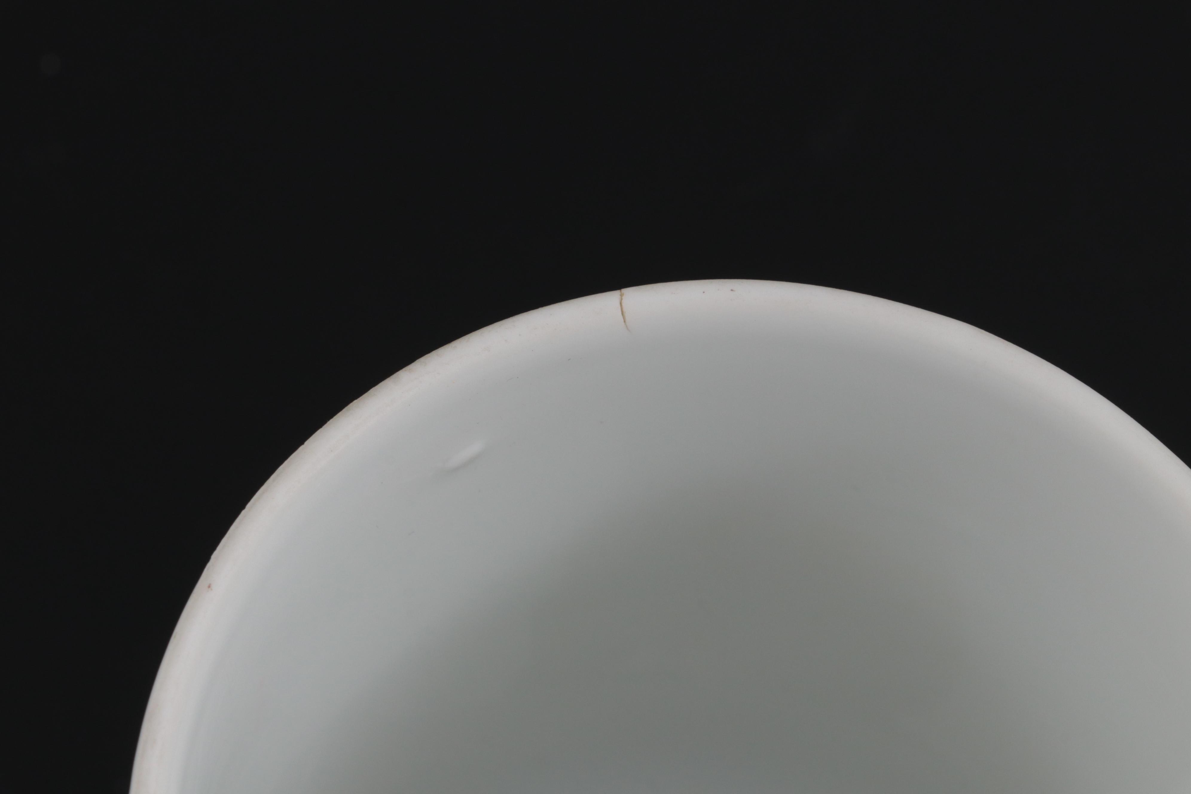 Taste Setter Collection Winking Lion Dinner Plates with Tumblers and Mugs