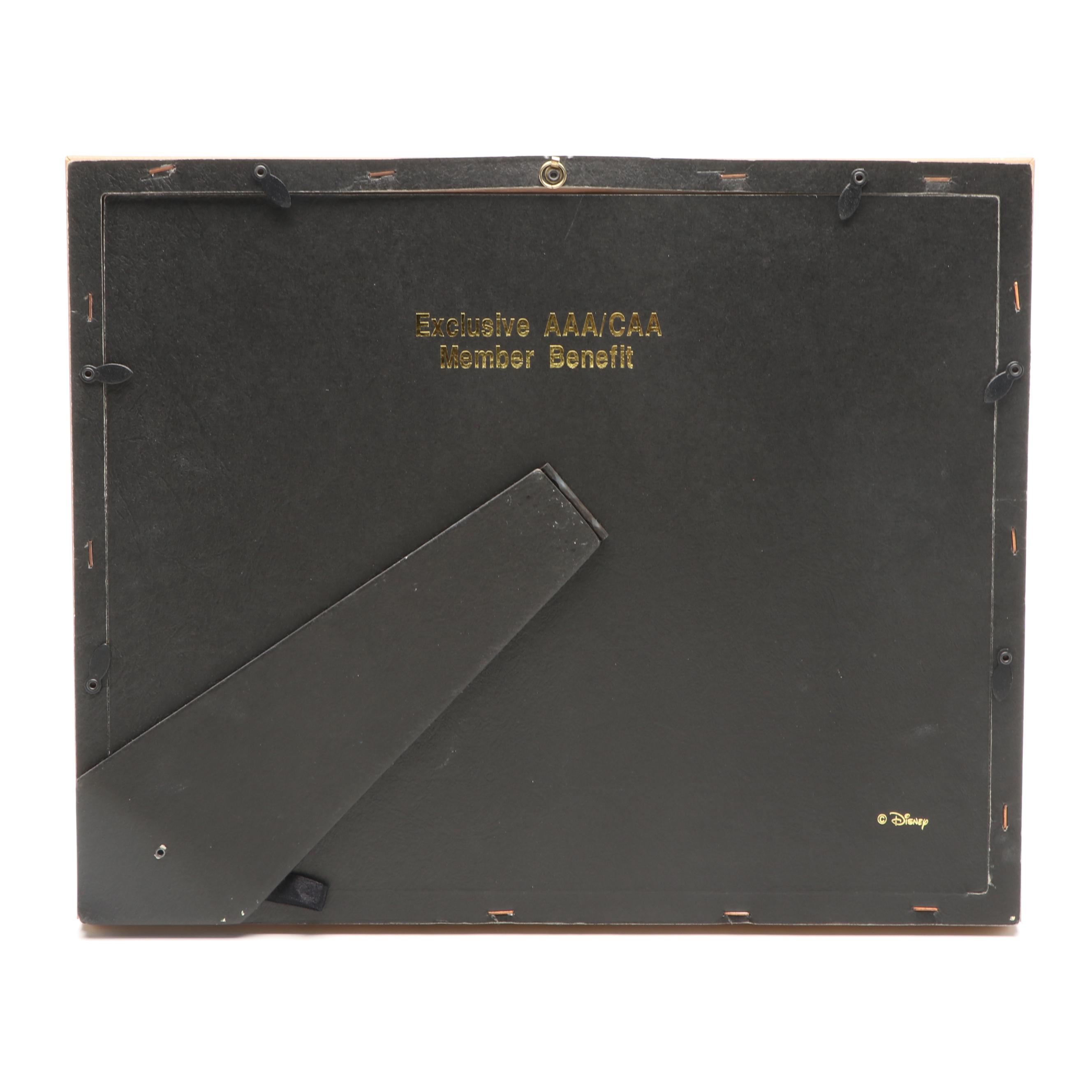 Disney Cruise Line Framed Souvenir Enamel Pins