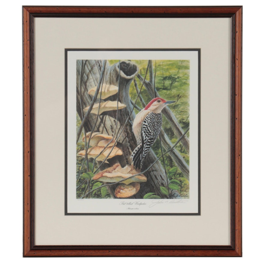 John A. Ruthven Offset Lithograph "Red-Bellied Woodpecker"