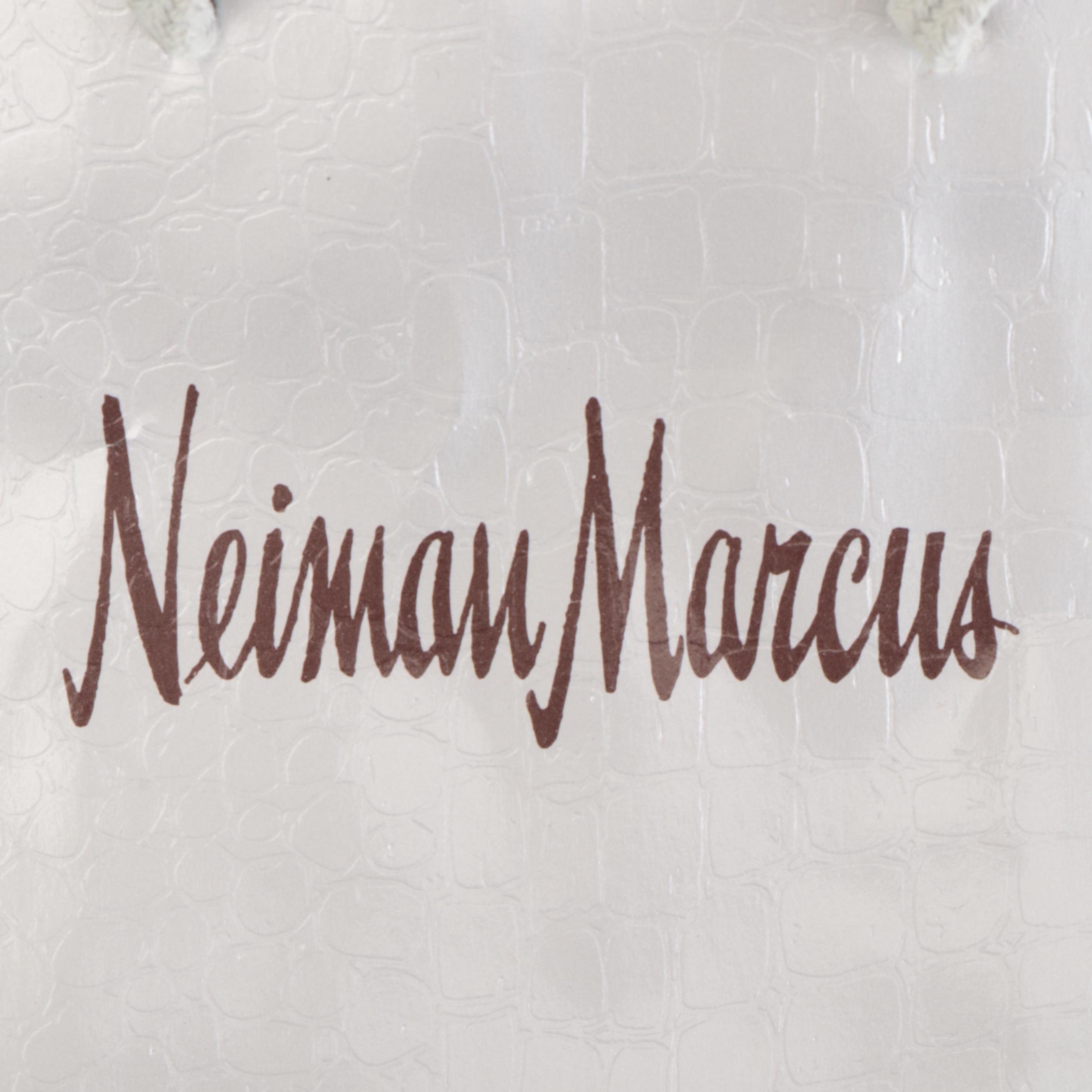 Fendi and Prada Dust Bags with Hermès, Chanel and Other Shopping Bags