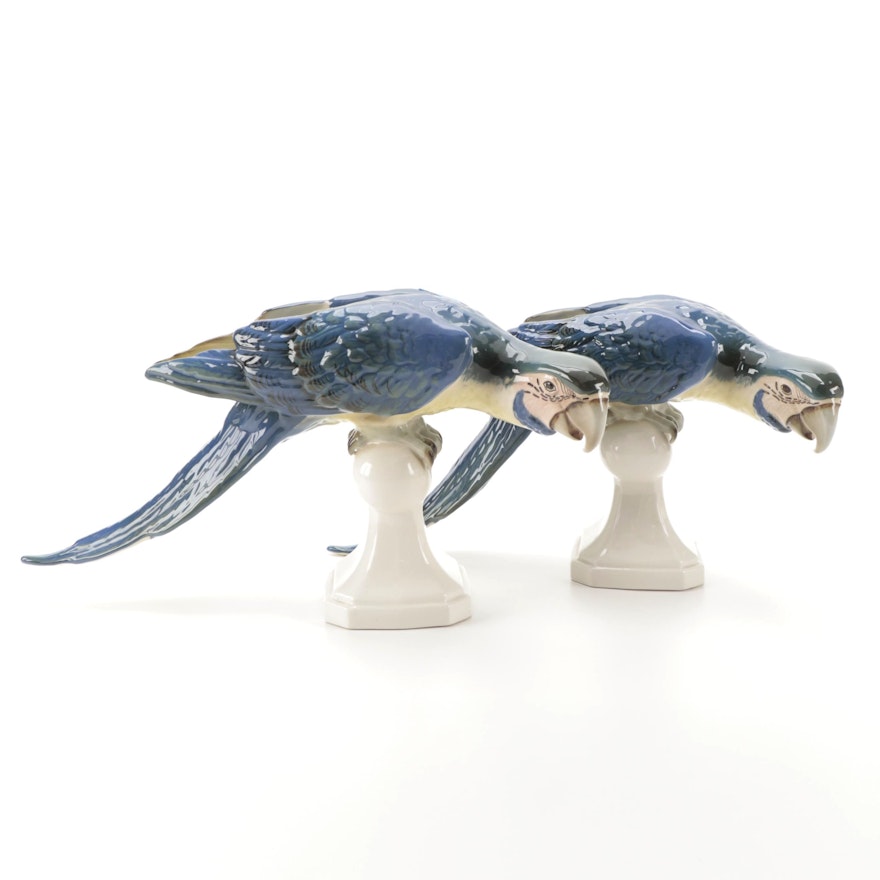 Royal Dux Porcelain Blue Macaw Parrot Figurines, Mid-20th Century