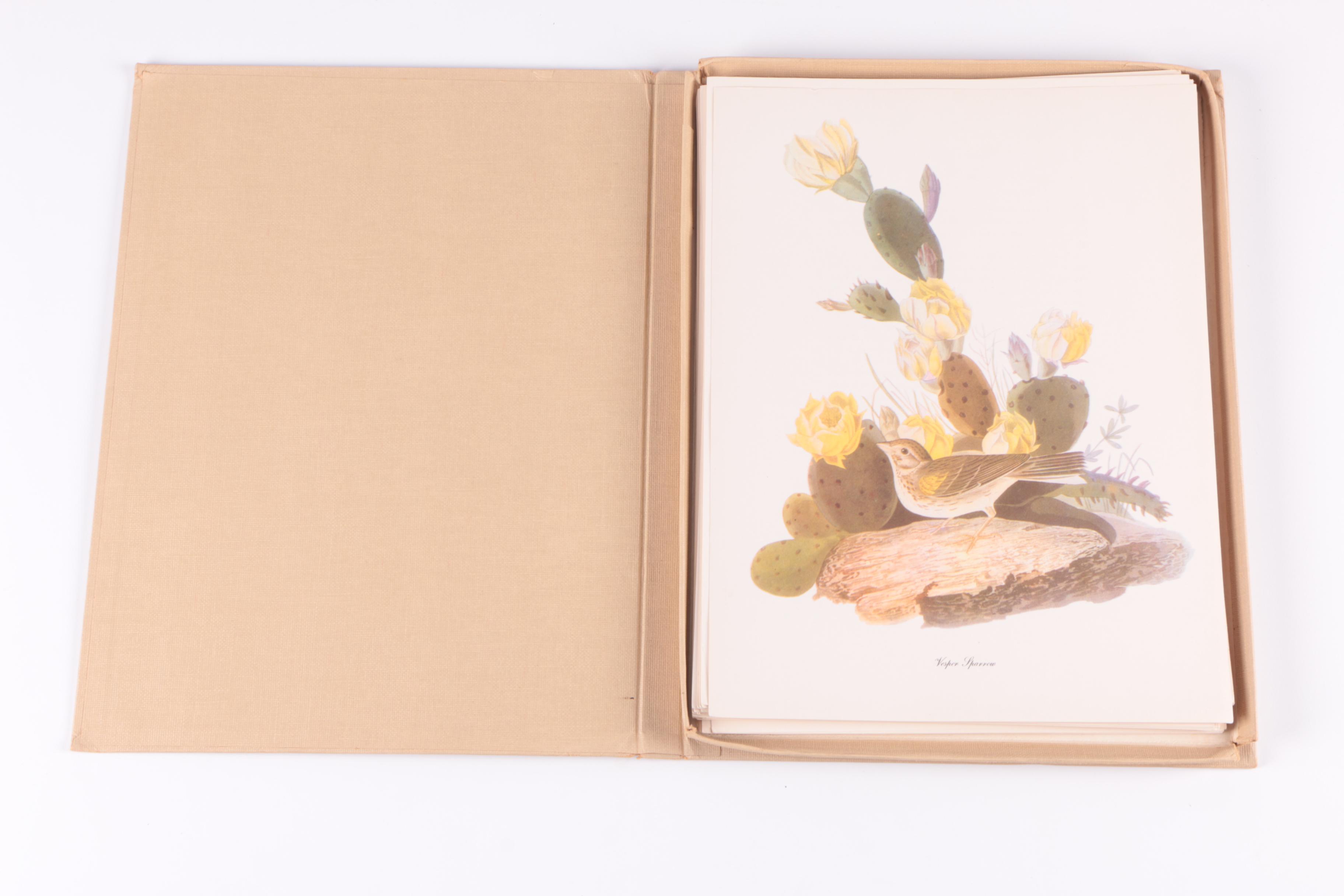 John James Audubon "Birds of America" Print Collection, Mid-20th Century