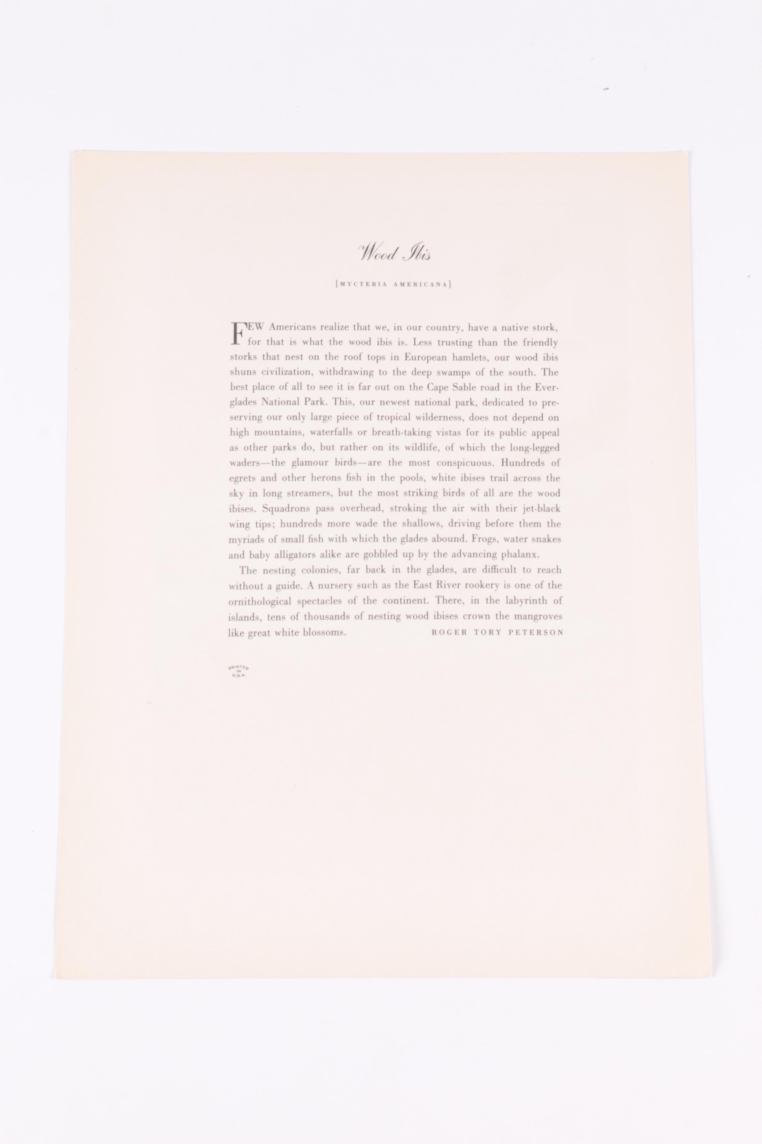 John James Audubon "Birds of America" Print Collection, Mid-20th Century