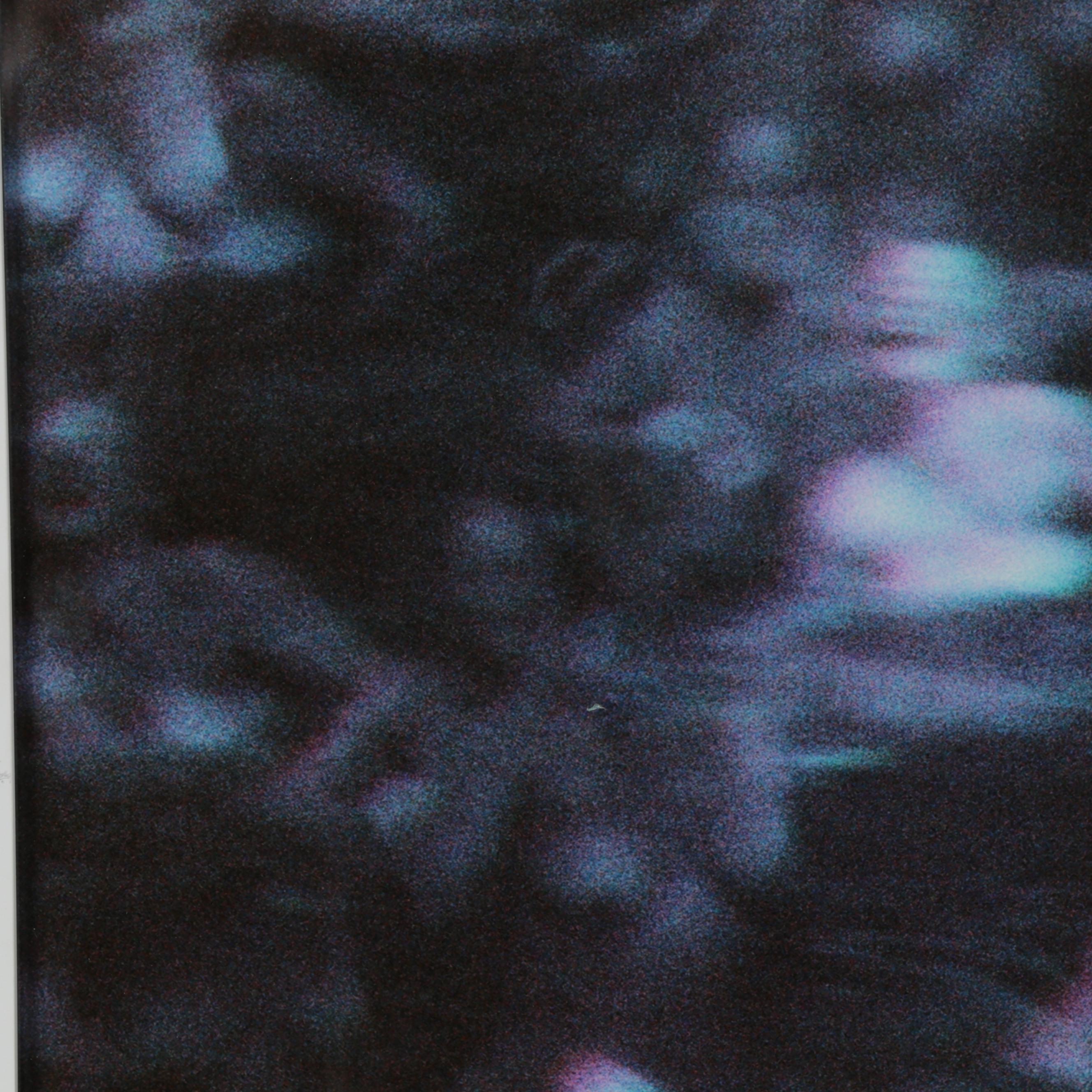 Nikita Gross Digital C-Types "Joy I" and "Joy II"