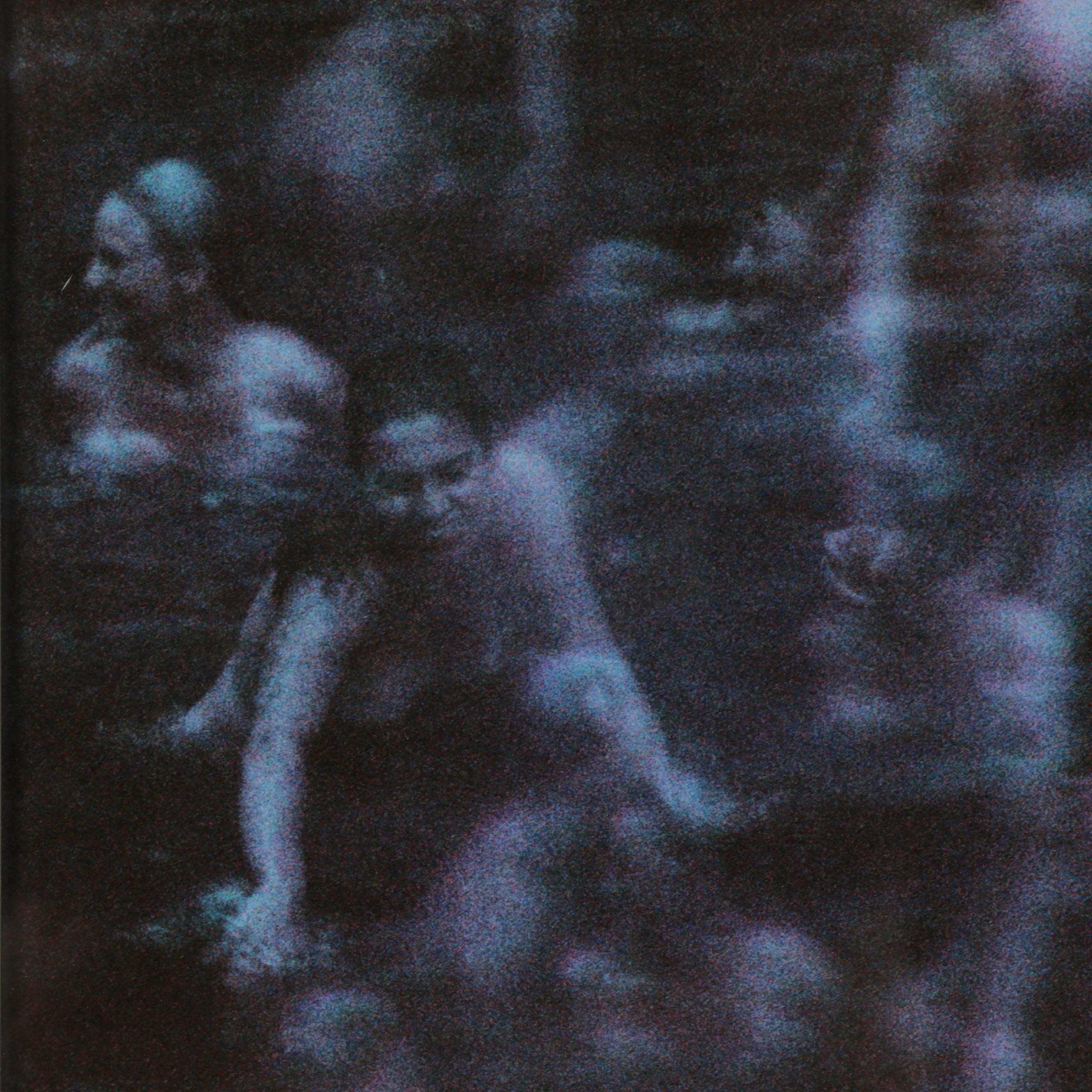 Nikita Gross Digital C-Types "Joy I" and "Joy II"