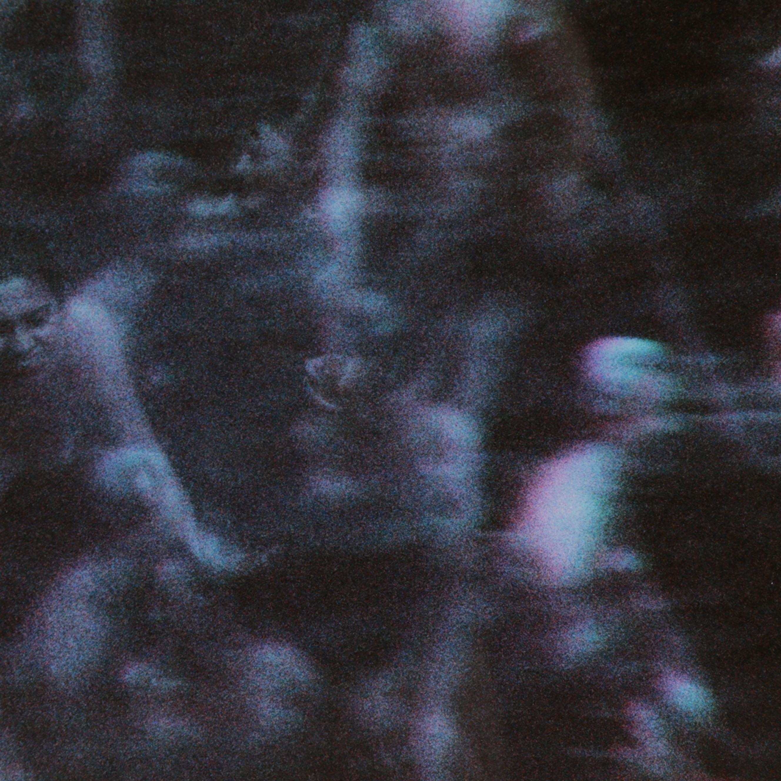 Nikita Gross Digital C-Types "Joy I" and "Joy II"