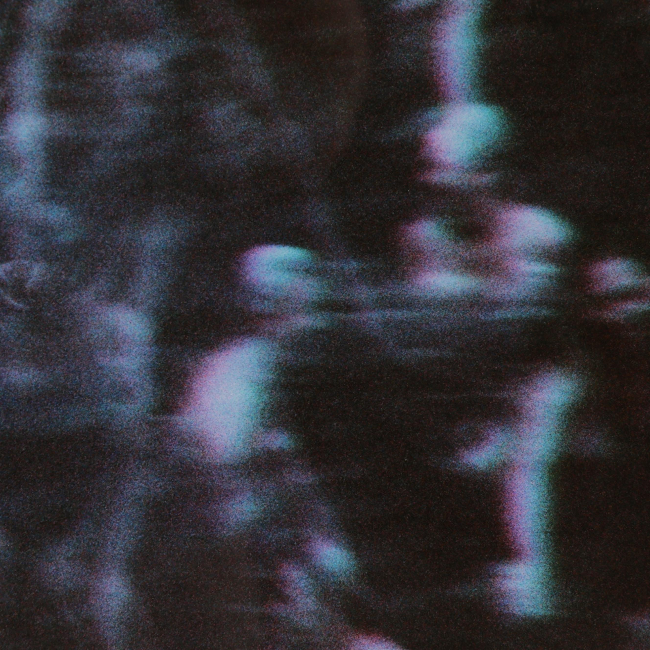 Nikita Gross Digital C-Types "Joy I" and "Joy II"