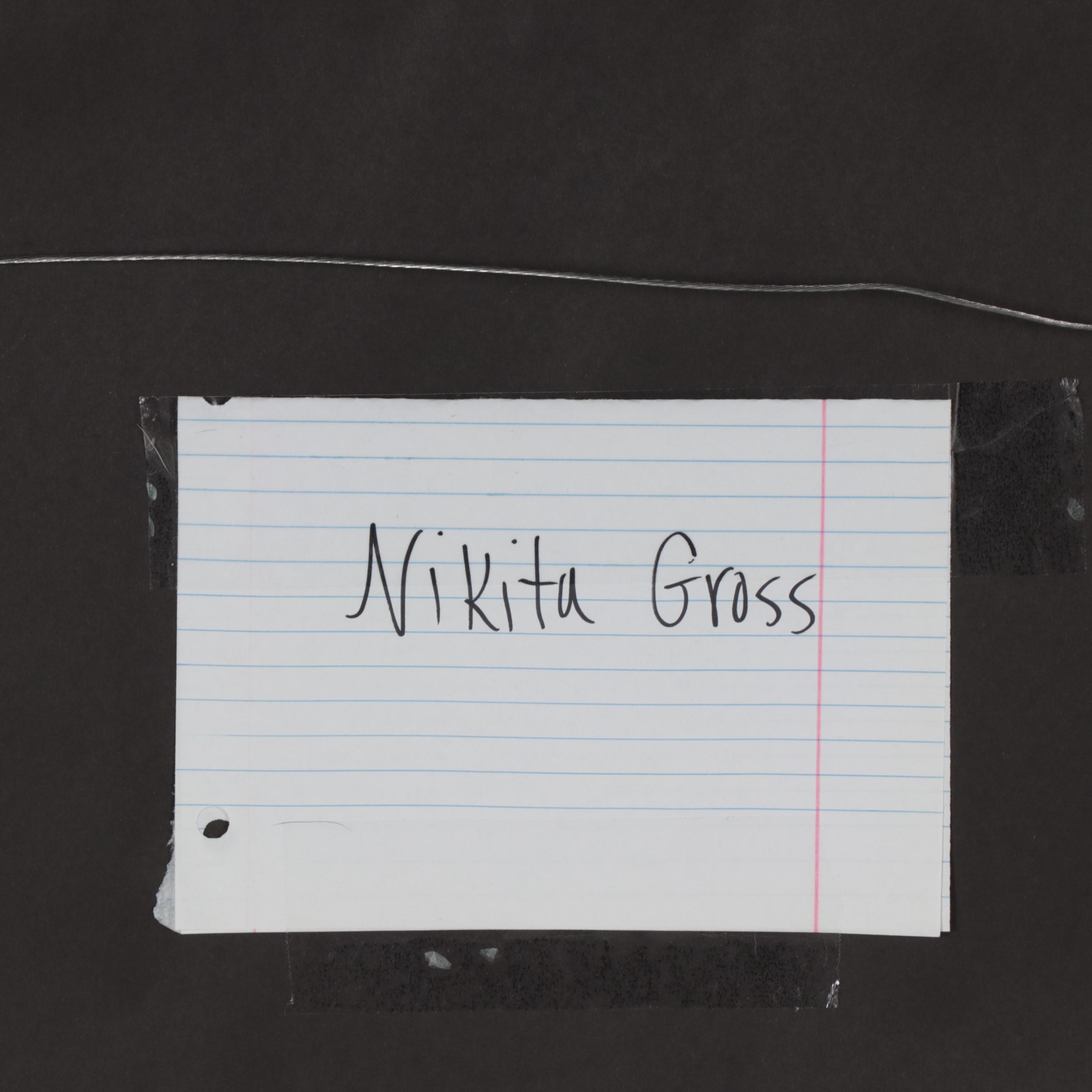 Nikita Gross Digital C-Types "Joy I" and "Joy II"