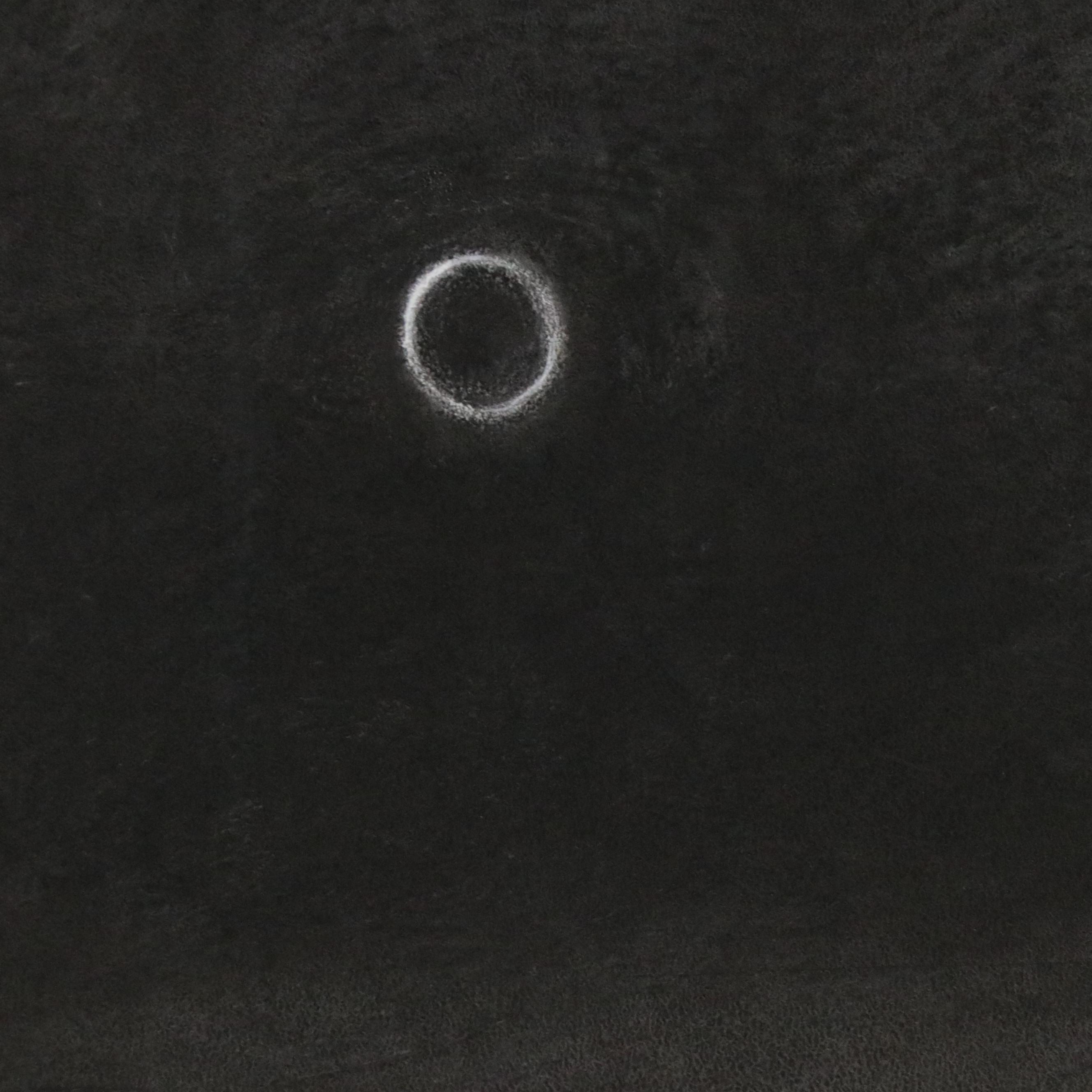 Jenny Ustick Large-Scale Charcoal Drawing "The Clothes Have No Emperor"