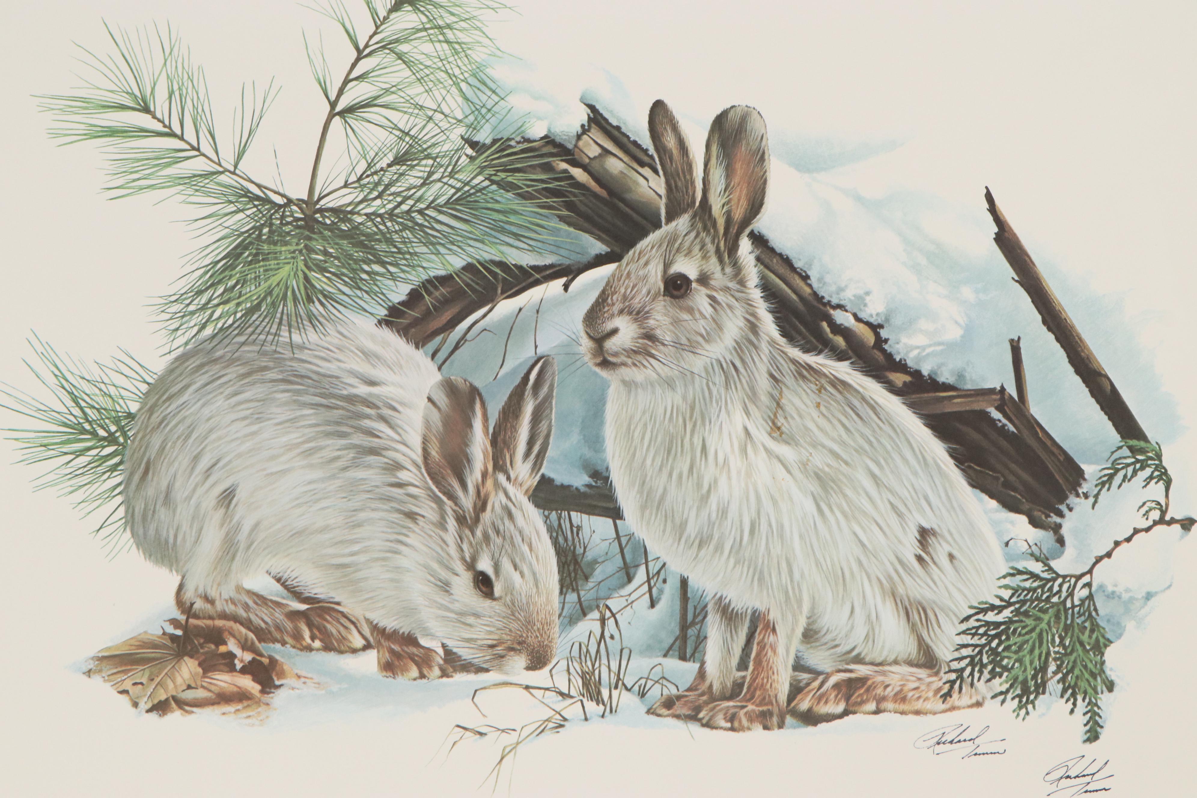 Richard Timm Offset Lithograph "Snowshoe Hare," 1976