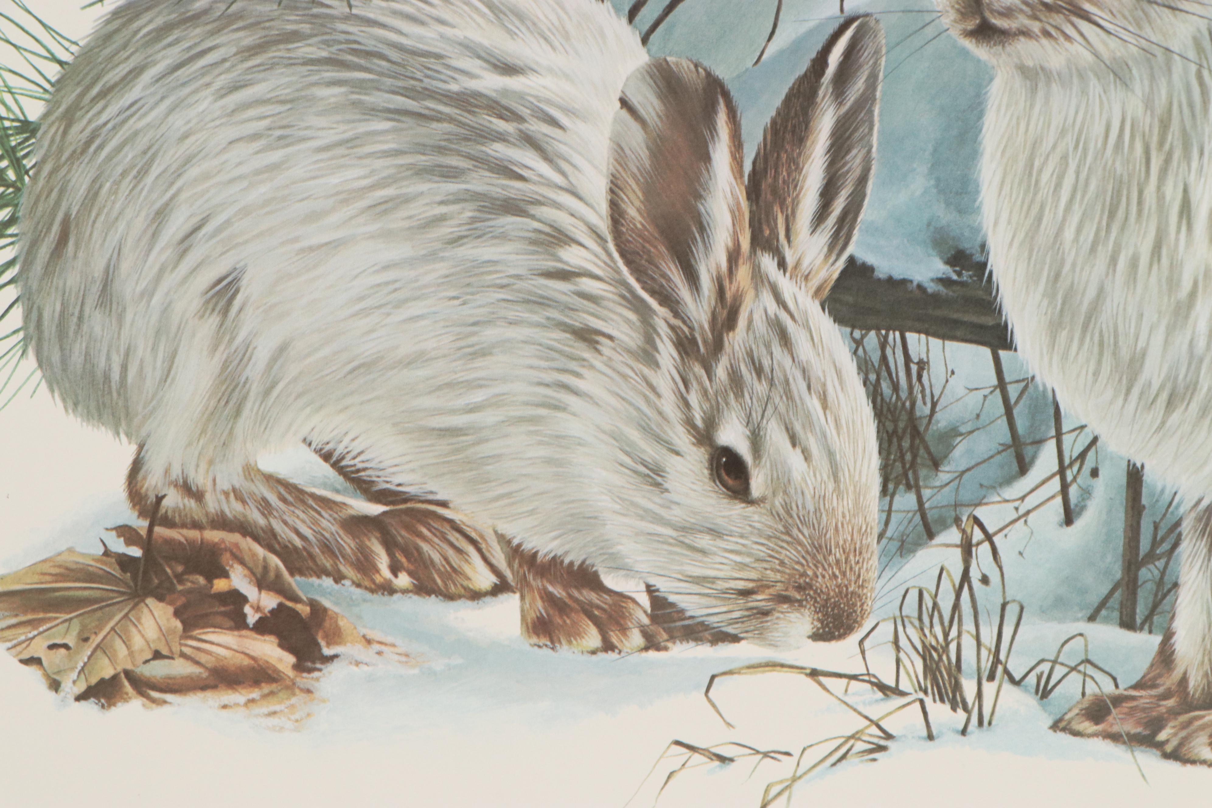 Richard Timm Offset Lithograph "Snowshoe Hare," 1976