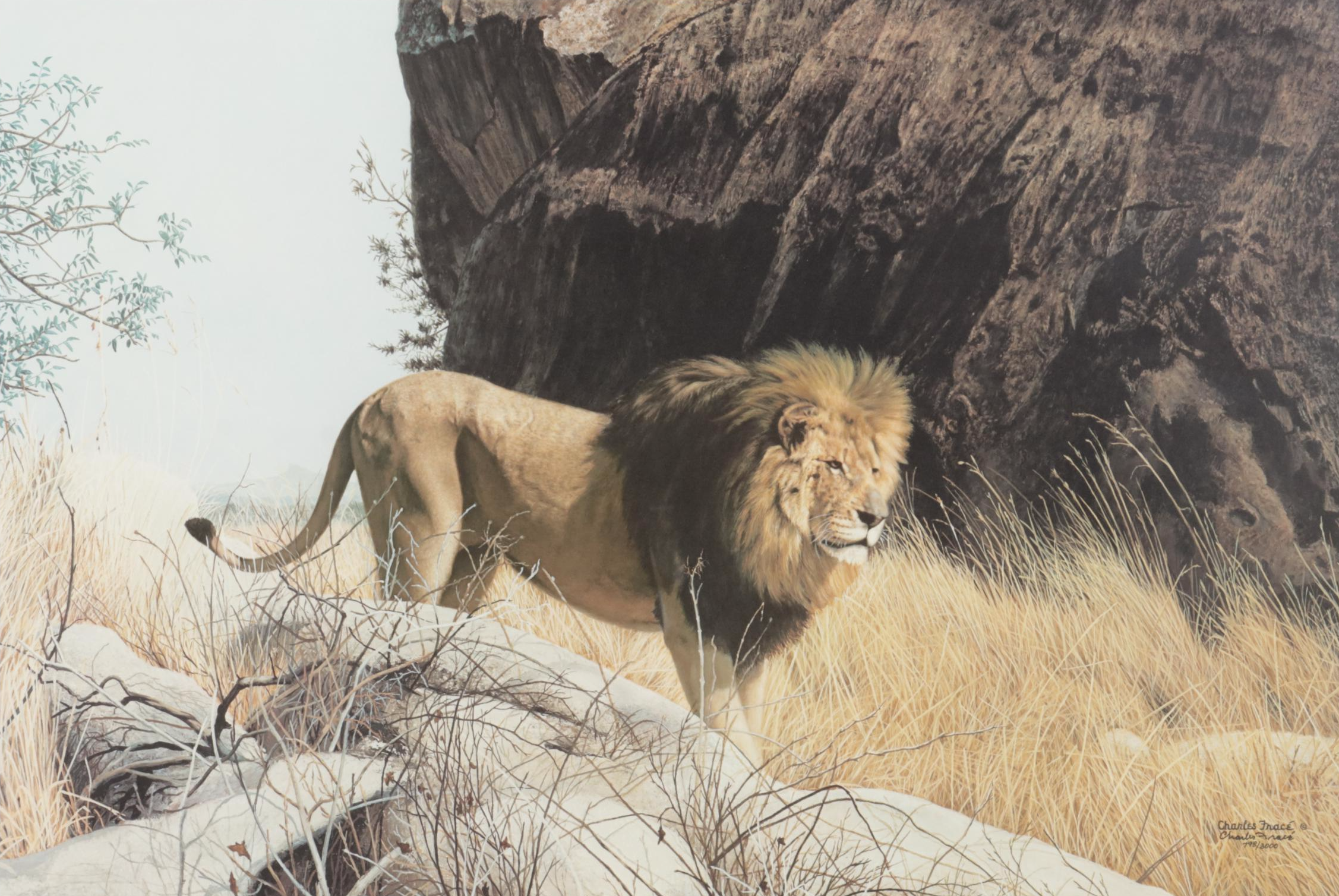Charles Fracé African Lion Offset Lithograph "Mighty Warrior," 1990