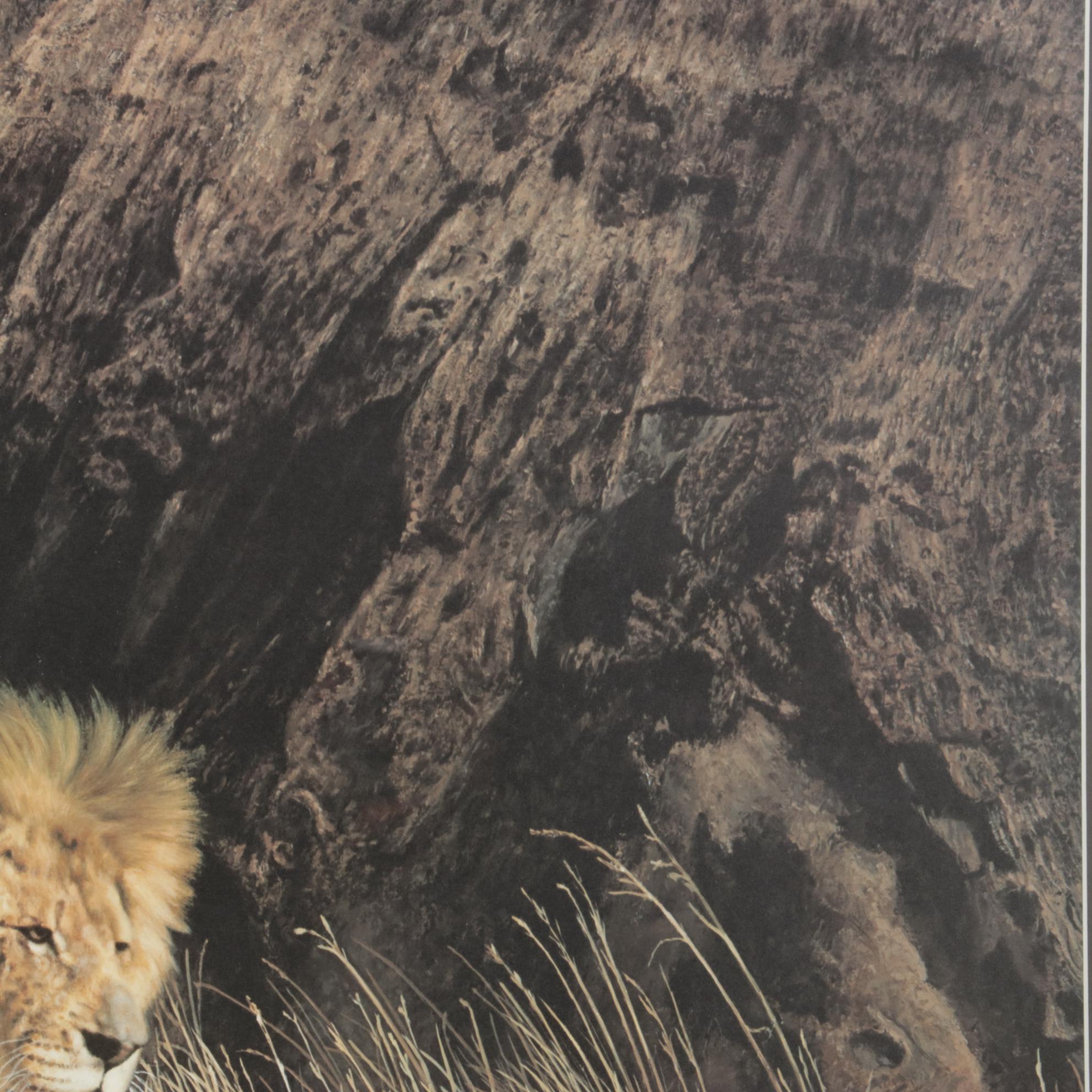 Charles Fracé African Lion Offset Lithograph "Mighty Warrior," 1990