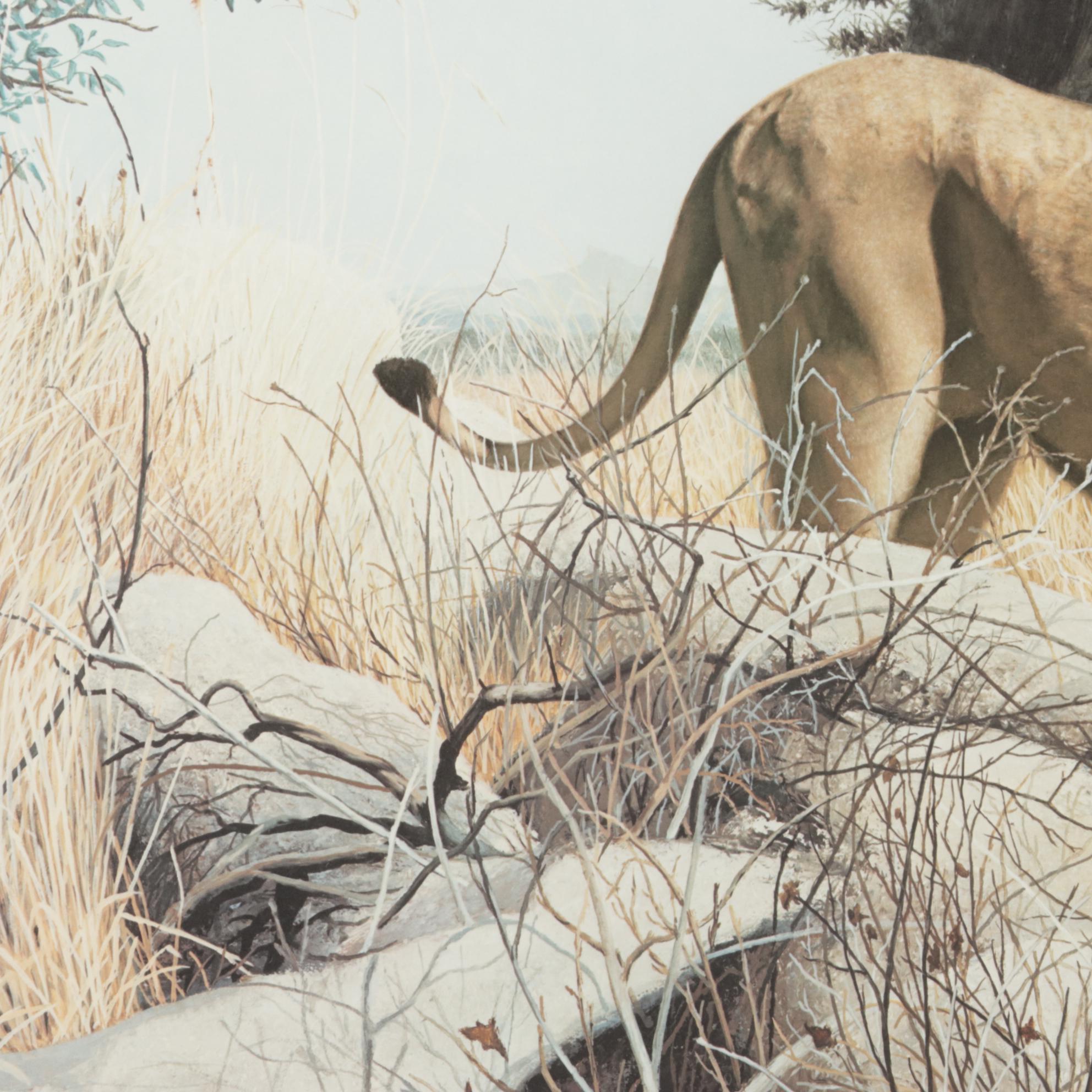 Charles Fracé African Lion Offset Lithograph "Mighty Warrior," 1990