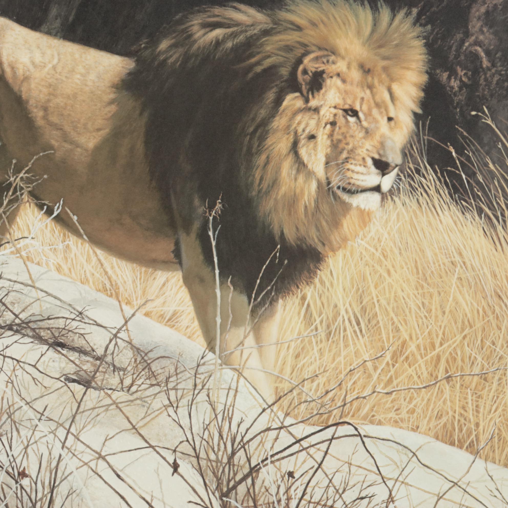 Charles Fracé African Lion Offset Lithograph "Mighty Warrior," 1990