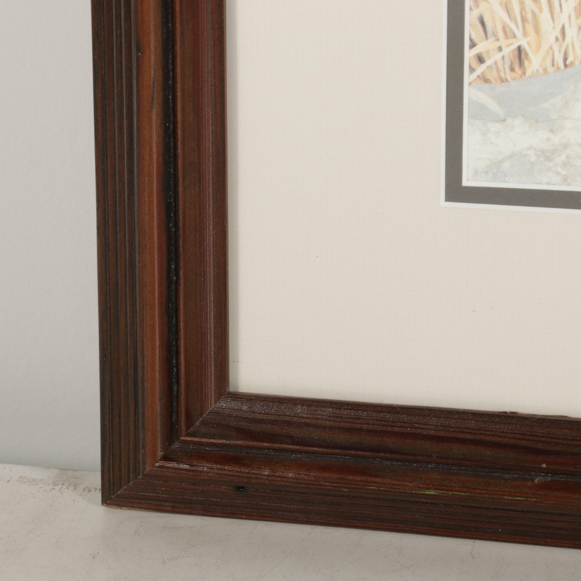 Charles Fracé African Lion Offset Lithograph "Mighty Warrior," 1990